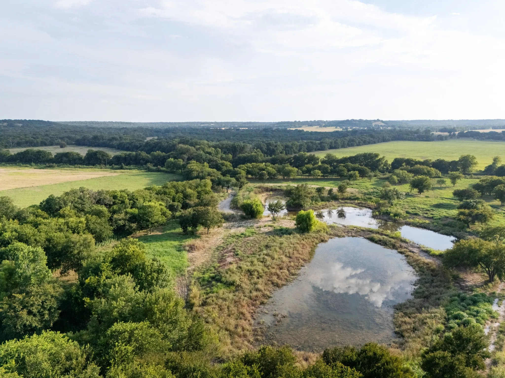 Unimproved Land For Sale in Bosque County , 24+/- ac. TBD Hwy 6, Valley Mills, Texas 76689, 0, 0, Garage spaces, 0 Sqft, built in 0, mls#21382565, Real Estate Agent in Valley Mills, Homes For Sale in Bosque county, Homes For Sale in Valley Mills, Realtor in Valley Mills Texas, Real Estate Brokerage Independent Realty Texas, Luminita Cordes Realtor