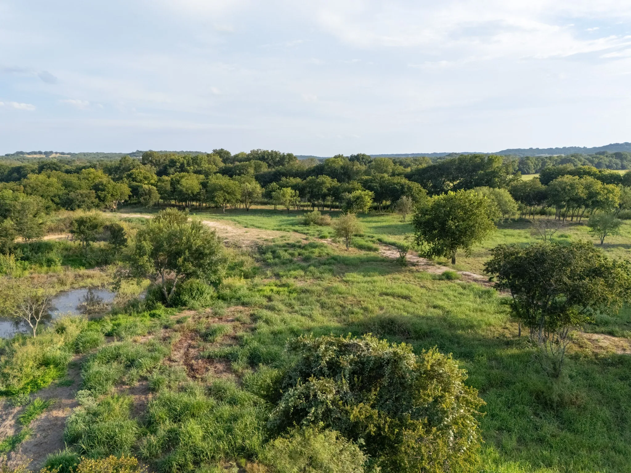 Unimproved Land For Sale in Bosque County , 24+/- ac. TBD Hwy 6, Valley Mills, Texas 76689, 0, 0, Garage spaces, 0 Sqft, built in 0, mls#21382565, Real Estate Agent in Valley Mills, Homes For Sale in Bosque county, Homes For Sale in Valley Mills, Realtor in Valley Mills Texas, Real Estate Brokerage Independent Realty Texas, Luminita Cordes Realtor