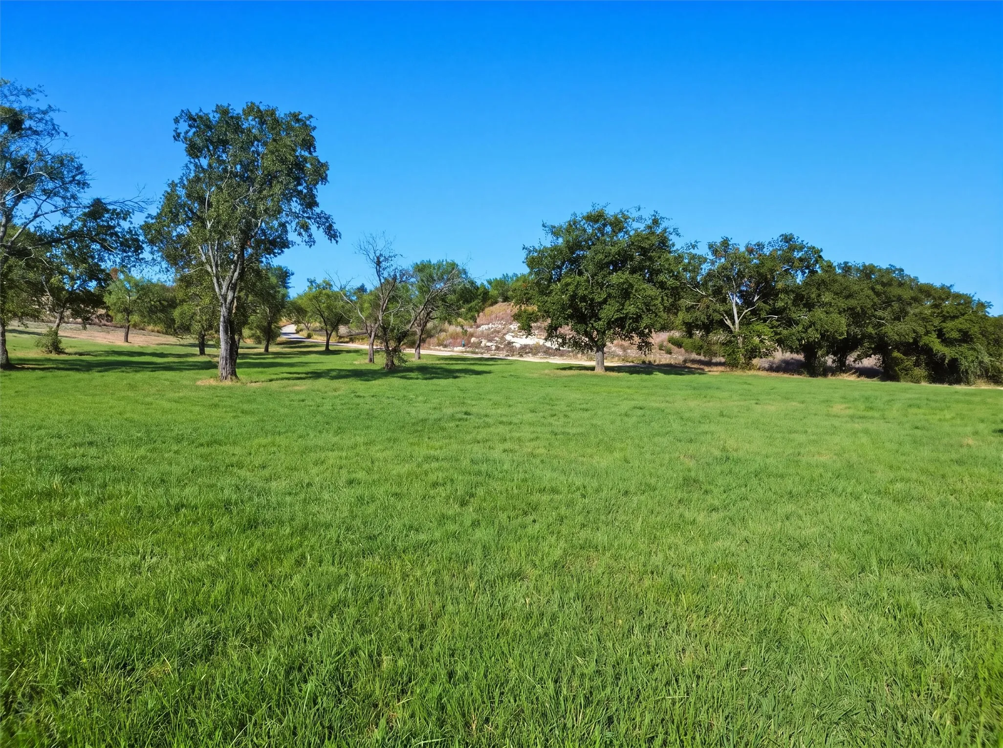 Unimproved Land For Sale in Parker County , 3049 Winding Creek Trail, Aledo, Texas 76008, 0, 0, Garage spaces, 0 Sqft, built in 0, mls#21382033, Real Estate Agent in Aledo, Homes For Sale in Parker county, Homes For Sale in Aledo, Realtor in Aledo Texas, Real Estate Brokerage Independent Realty Texas, Luminita Cordes Realtor