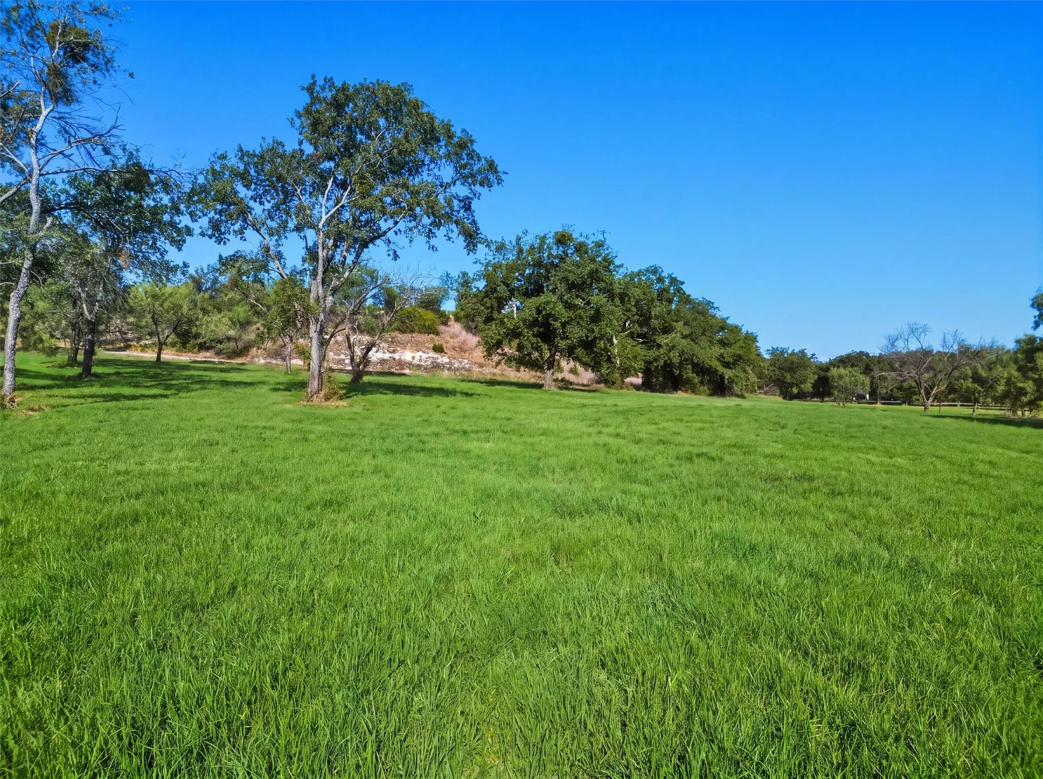 Unimproved Land For Sale in Parker County , 3049 Winding Creek Trail, Aledo, Texas 76008, 0, 0, Garage spaces, 0 Sqft, built in 0, mls#21382033, Real Estate Agent in Aledo, Homes For Sale in Parker county, Homes For Sale in Aledo, Realtor in Aledo Texas, Real Estate Brokerage Independent Realty Texas, Luminita Cordes Realtor