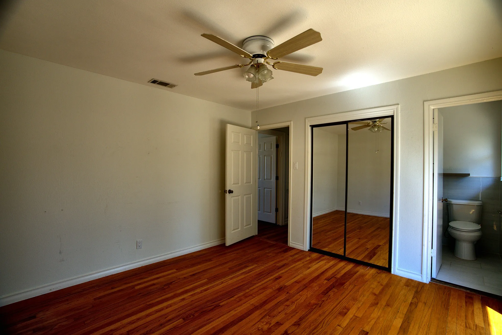 Hardwood flooring throughout, ceiling fan, mirrored closet doors, and light gray wall paint