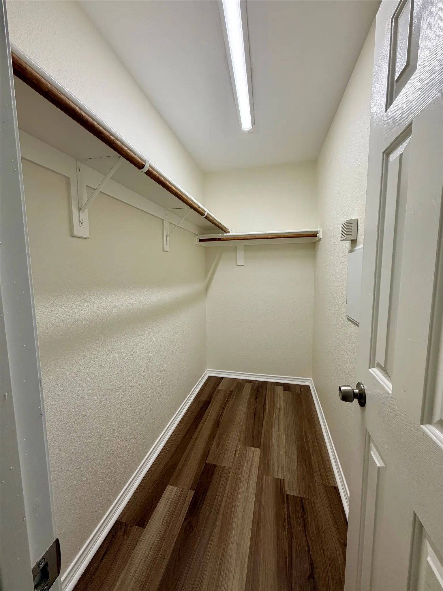 Walk-in closet featuring wood-finish flooring, built-in shelving, and a bright overhead light fixture