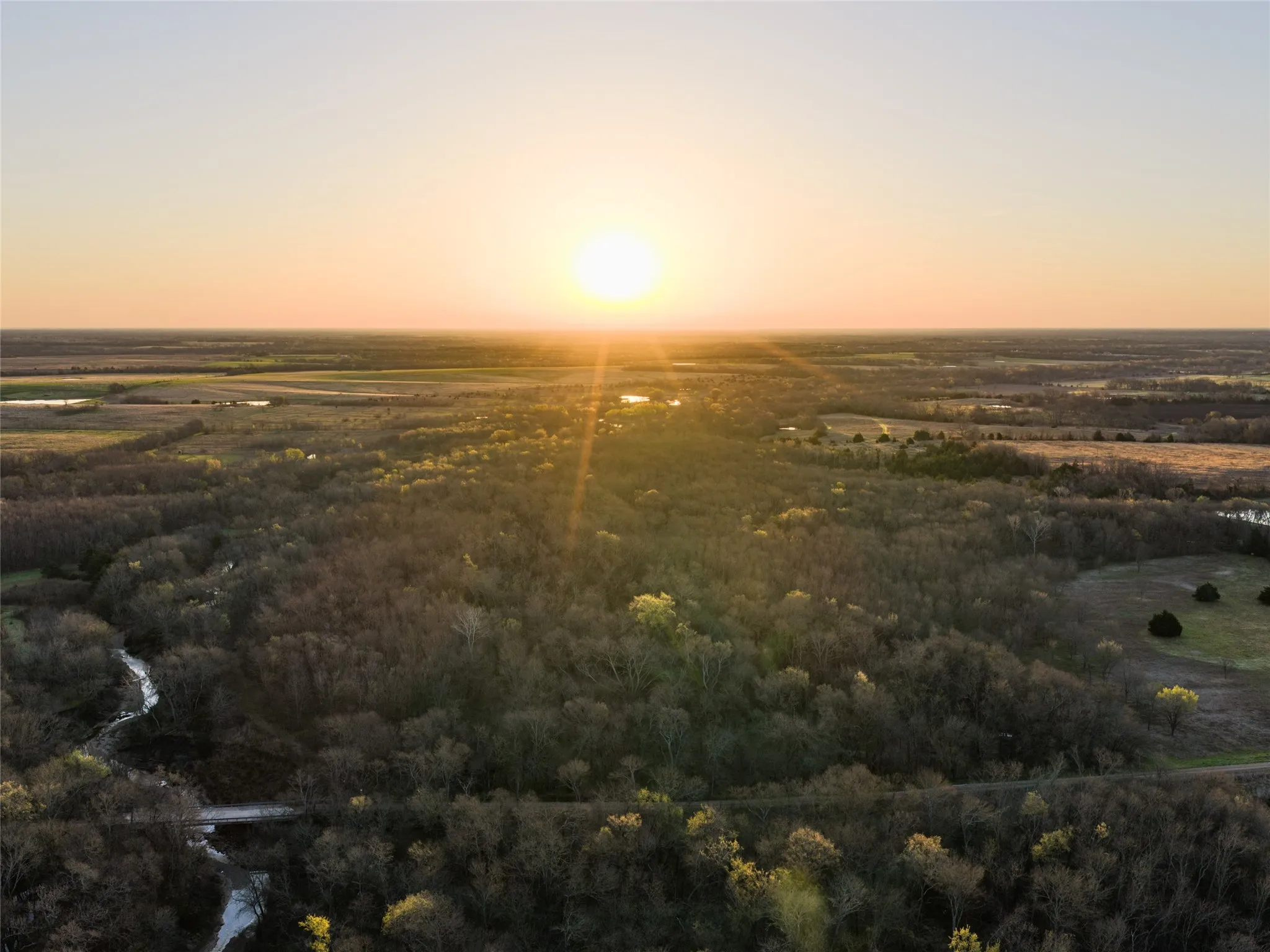 Unimproved Land For Sale in Fannin County , TBD County Road 3550, Honey Grove, Texas 75446, 0, 0, Garage spaces, 0 Sqft, built in 0, mls#21382685, Real Estate Agent in Honey Grove, Homes For Sale in Fannin county, Homes For Sale in Honey Grove, Realtor in Honey Grove Texas, Real Estate Brokerage Independent Realty Texas, Luminita Cordes Realtor