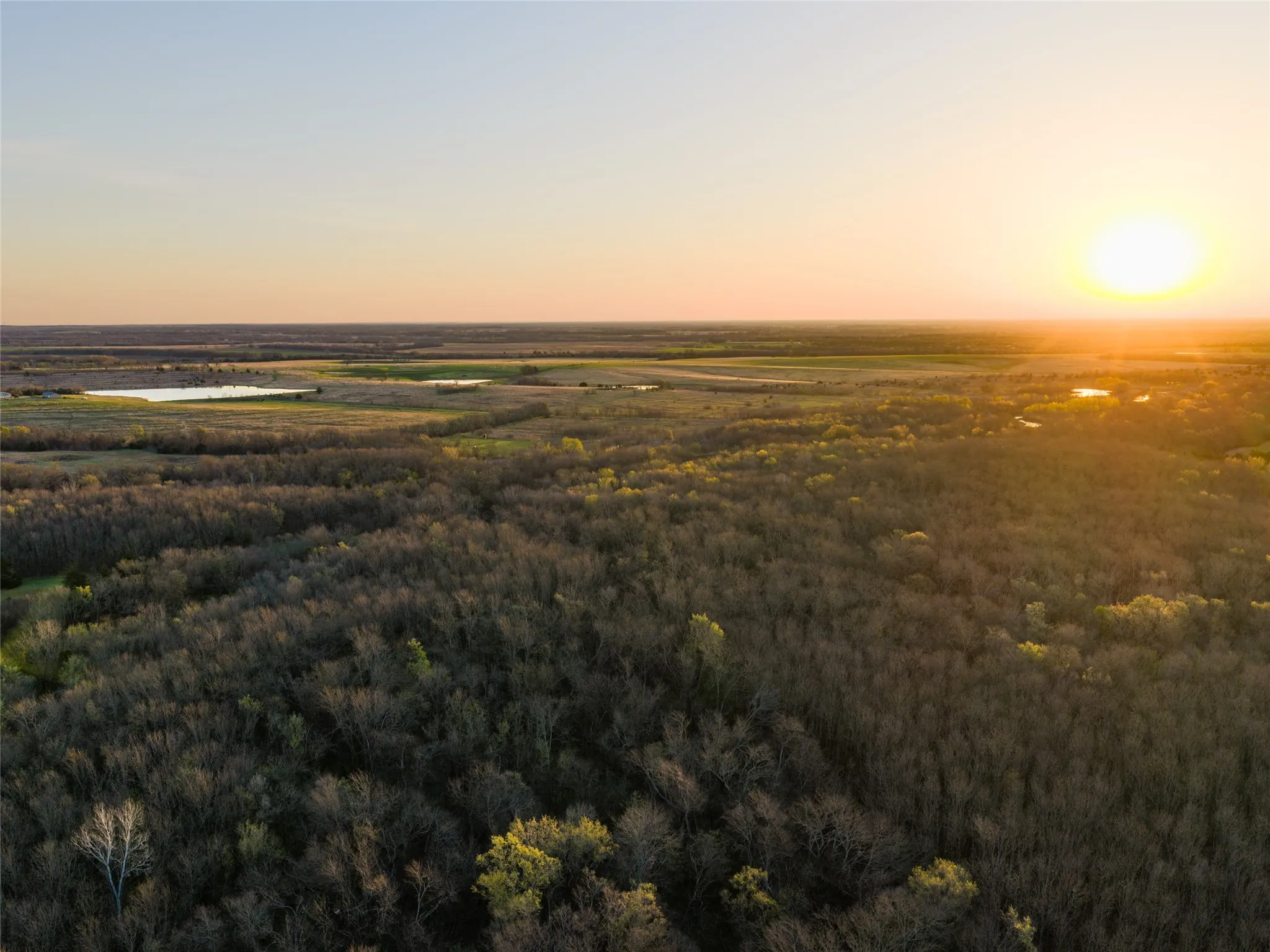 Unimproved Land For Sale in Fannin County , TBD County Road 3550, Honey Grove, Texas 75446, 0, 0, Garage spaces, 0 Sqft, built in 0, mls#21382685, Real Estate Agent in Honey Grove, Homes For Sale in Fannin county, Homes For Sale in Honey Grove, Realtor in Honey Grove Texas, Real Estate Brokerage Independent Realty Texas, Luminita Cordes Realtor