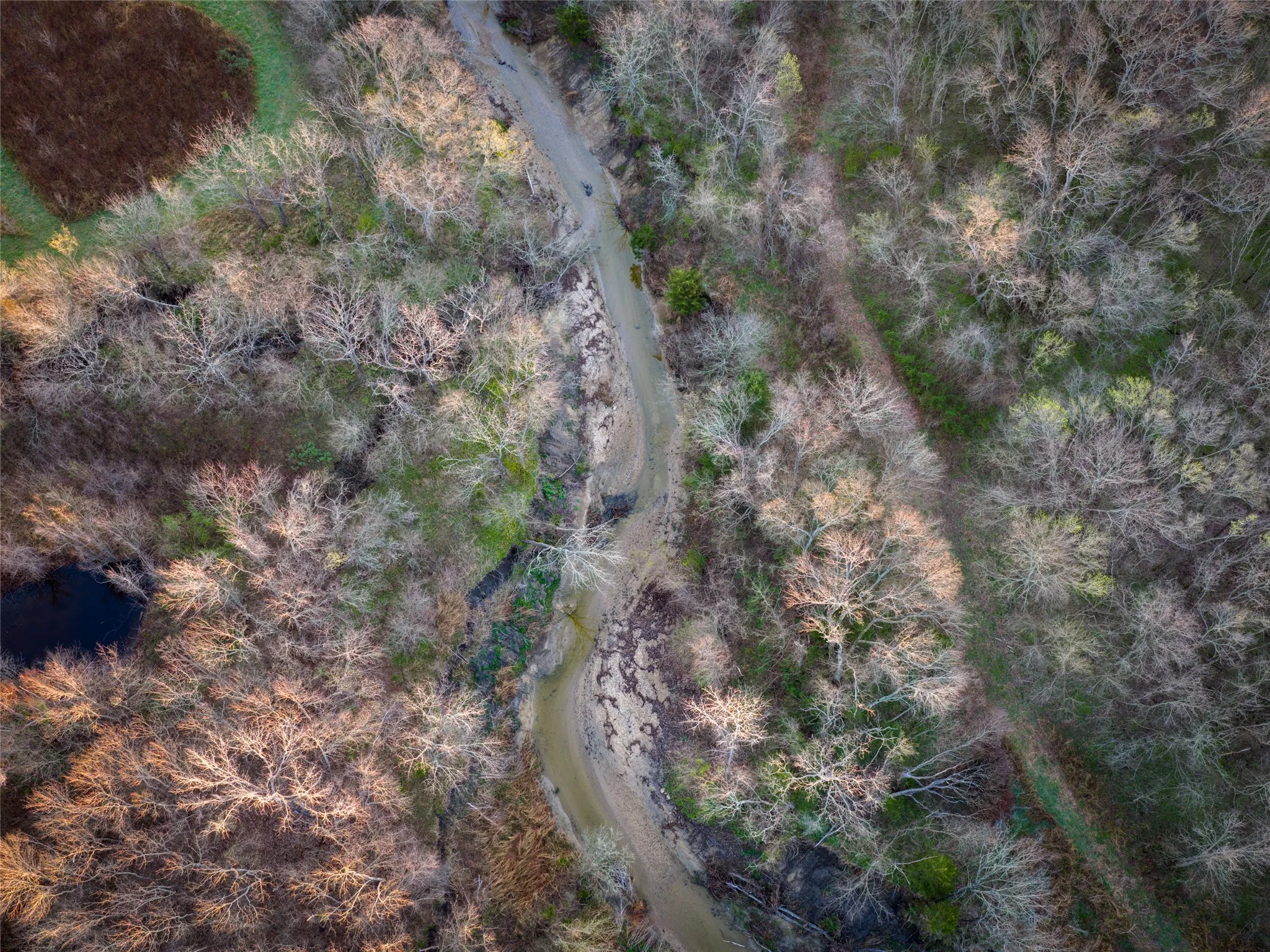 Unimproved Land For Sale in Fannin County , TBD County Road 3550, Honey Grove, Texas 75446, 0, 0, Garage spaces, 0 Sqft, built in 0, mls#21382685, Real Estate Agent in Honey Grove, Homes For Sale in Fannin county, Homes For Sale in Honey Grove, Realtor in Honey Grove Texas, Real Estate Brokerage Independent Realty Texas, Luminita Cordes Realtor
