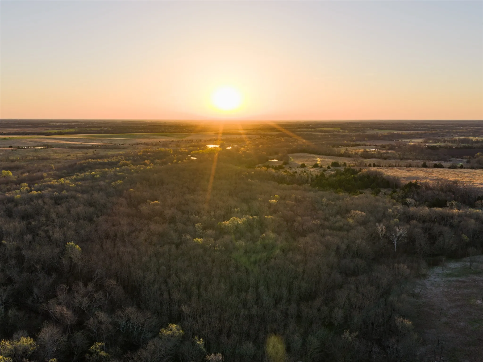 Unimproved Land For Sale in Fannin County , TBD County Road 3550, Honey Grove, Texas 75446, 0, 0, Garage spaces, 0 Sqft, built in 0, mls#21382685, Real Estate Agent in Honey Grove, Homes For Sale in Fannin county, Homes For Sale in Honey Grove, Realtor in Honey Grove Texas, Real Estate Brokerage Independent Realty Texas, Luminita Cordes Realtor