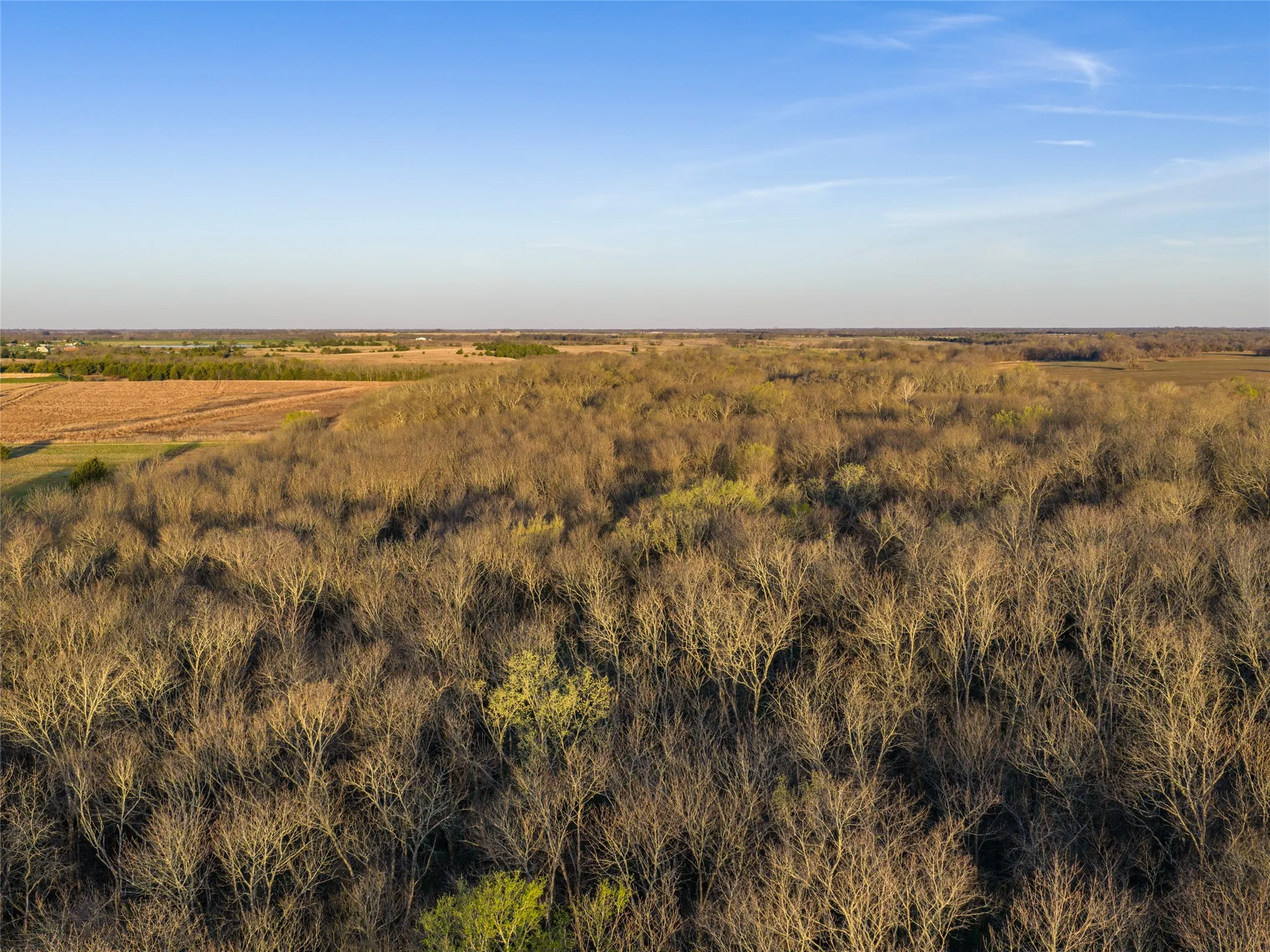 Unimproved Land For Sale in Fannin County , TBD County Road 3550, Honey Grove, Texas 75446, 0, 0, Garage spaces, 0 Sqft, built in 0, mls#21382685, Real Estate Agent in Honey Grove, Homes For Sale in Fannin county, Homes For Sale in Honey Grove, Realtor in Honey Grove Texas, Real Estate Brokerage Independent Realty Texas, Luminita Cordes Realtor