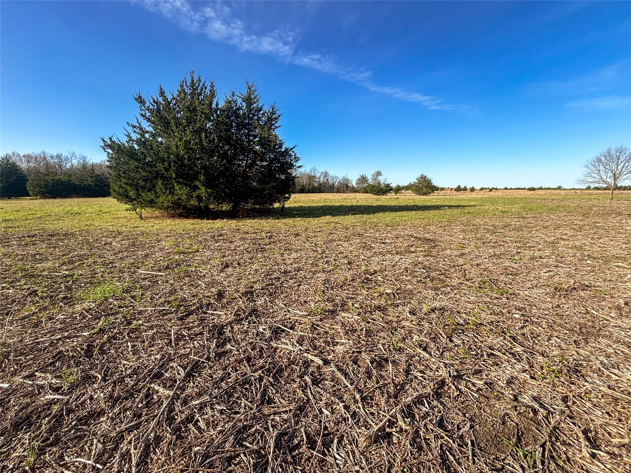 Unimproved Land For Sale in Fannin County , TBD County Road 3550, Honey Grove, Texas 75446, 0, 0, Garage spaces, 0 Sqft, built in 0, mls#21382685, Real Estate Agent in Honey Grove, Homes For Sale in Fannin county, Homes For Sale in Honey Grove, Realtor in Honey Grove Texas, Real Estate Brokerage Independent Realty Texas, Luminita Cordes Realtor