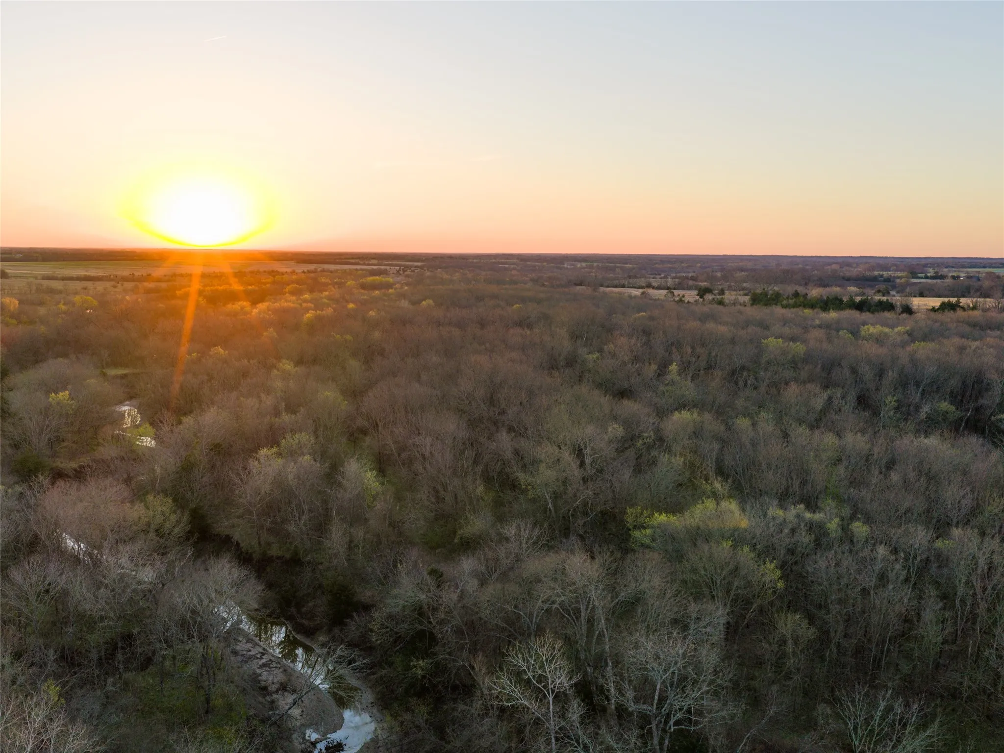 Unimproved Land For Sale in Fannin County , TBD County Road 3550, Honey Grove, Texas 75446, 0, 0, Garage spaces, 0 Sqft, built in 0, mls#21382685, Real Estate Agent in Honey Grove, Homes For Sale in Fannin county, Homes For Sale in Honey Grove, Realtor in Honey Grove Texas, Real Estate Brokerage Independent Realty Texas, Luminita Cordes Realtor