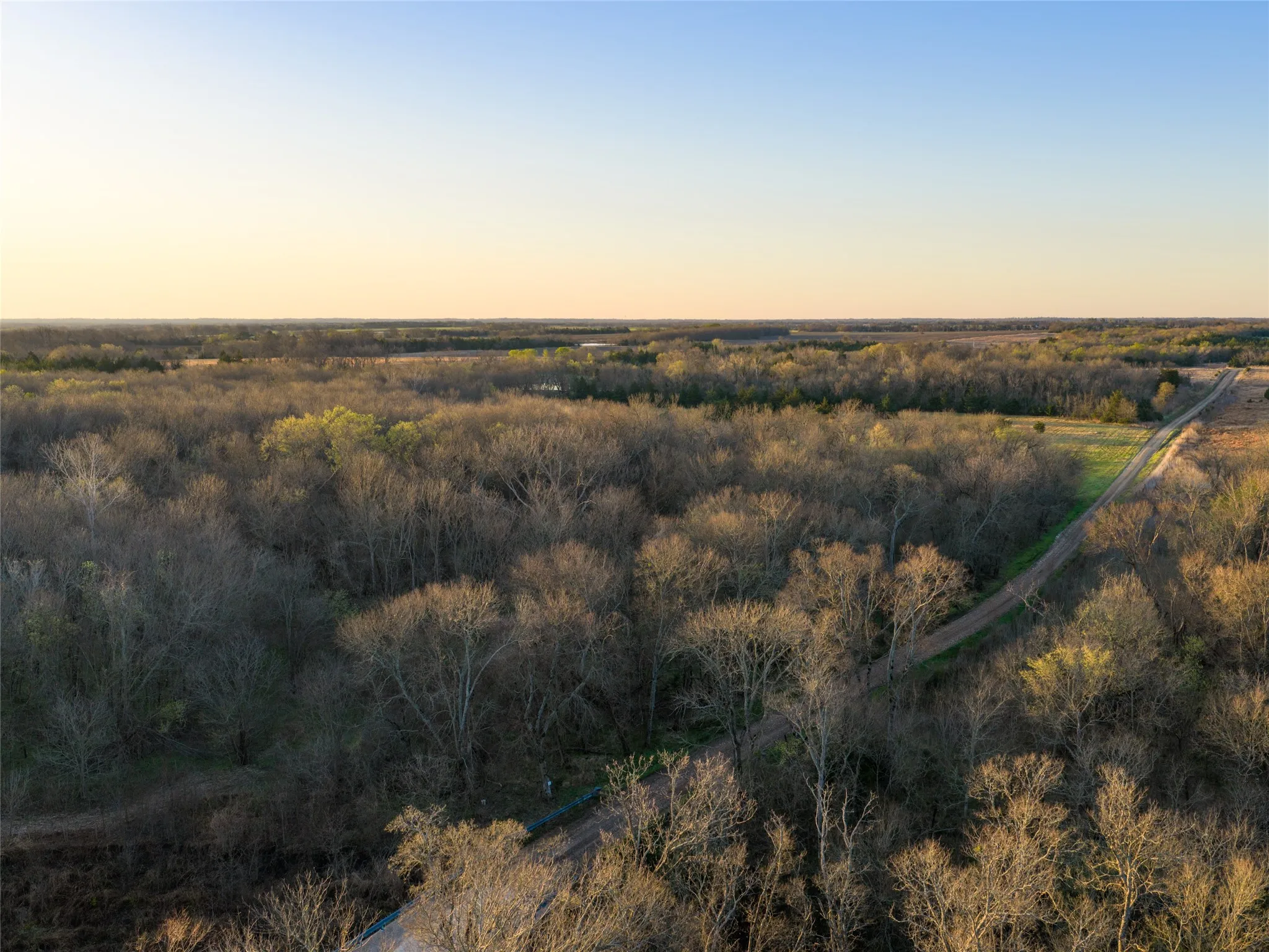 Unimproved Land For Sale in Fannin County , TBD County Road 3550, Honey Grove, Texas 75446, 0, 0, Garage spaces, 0 Sqft, built in 0, mls#21382685, Real Estate Agent in Honey Grove, Homes For Sale in Fannin county, Homes For Sale in Honey Grove, Realtor in Honey Grove Texas, Real Estate Brokerage Independent Realty Texas, Luminita Cordes Realtor