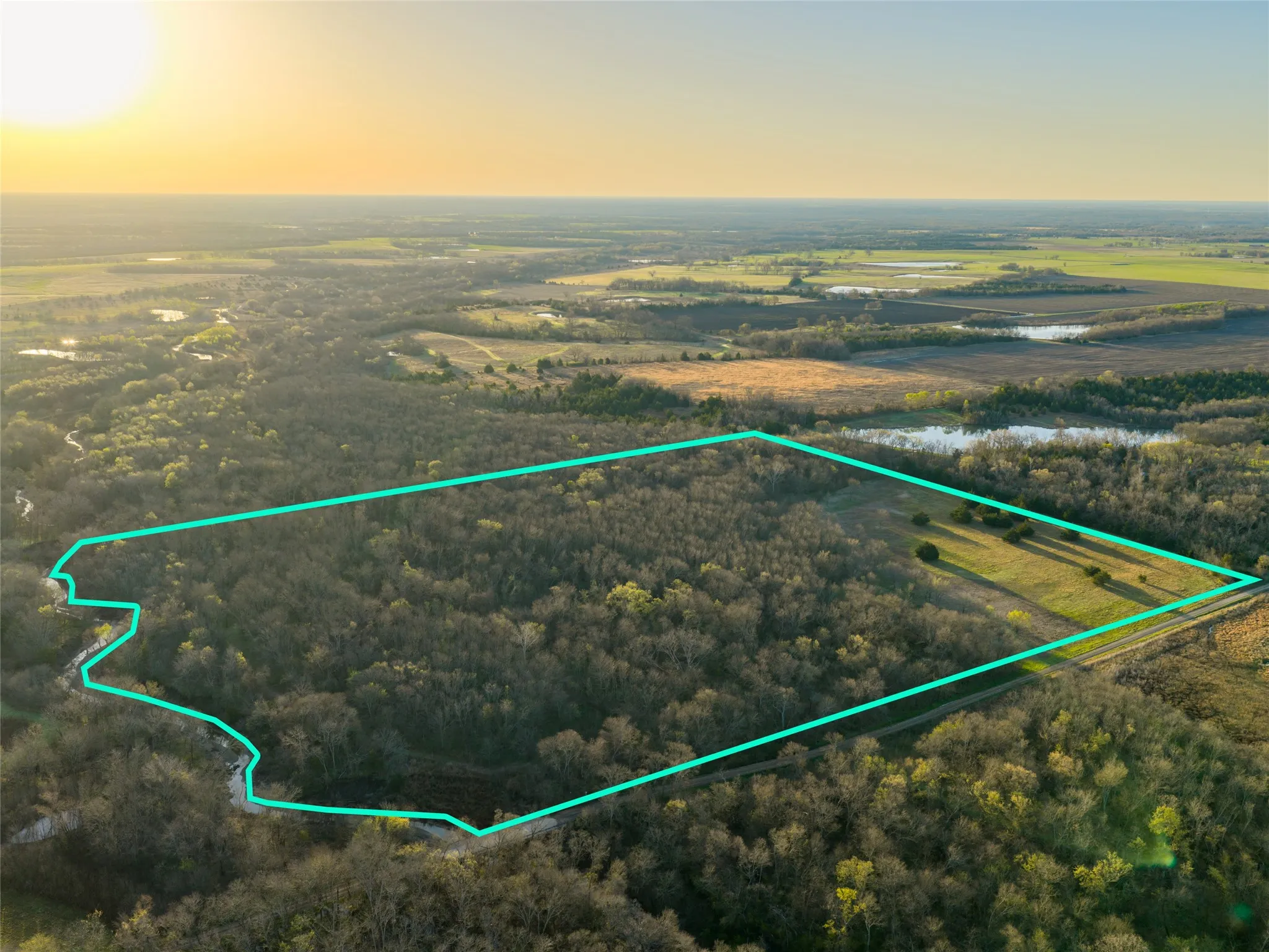 Unimproved Land For Sale in Fannin County , TBD County Road 3550, Honey Grove, Texas 75446, 0, 0, Garage spaces, 0 Sqft, built in 0, mls#21382685, Real Estate Agent in Honey Grove, Homes For Sale in Fannin county, Homes For Sale in Honey Grove, Realtor in Honey Grove Texas, Real Estate Brokerage Independent Realty Texas, Luminita Cordes Realtor