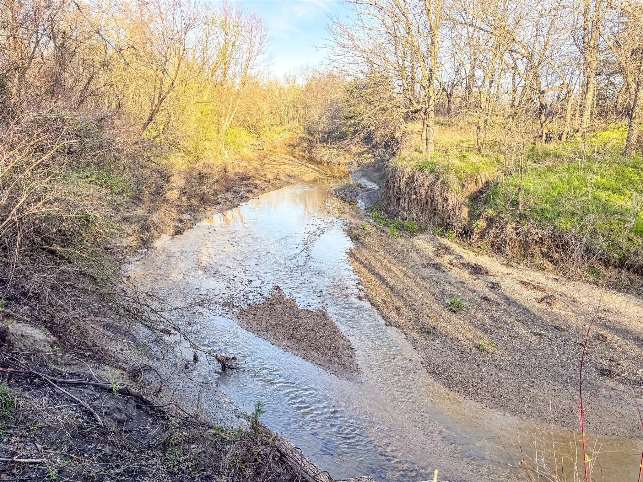 Unimproved Land For Sale in Fannin County , TBD County Road 3550, Honey Grove, Texas 75446, 0, 0, Garage spaces, 0 Sqft, built in 0, mls#21382685, Real Estate Agent in Honey Grove, Homes For Sale in Fannin county, Homes For Sale in Honey Grove, Realtor in Honey Grove Texas, Real Estate Brokerage Independent Realty Texas, Luminita Cordes Realtor