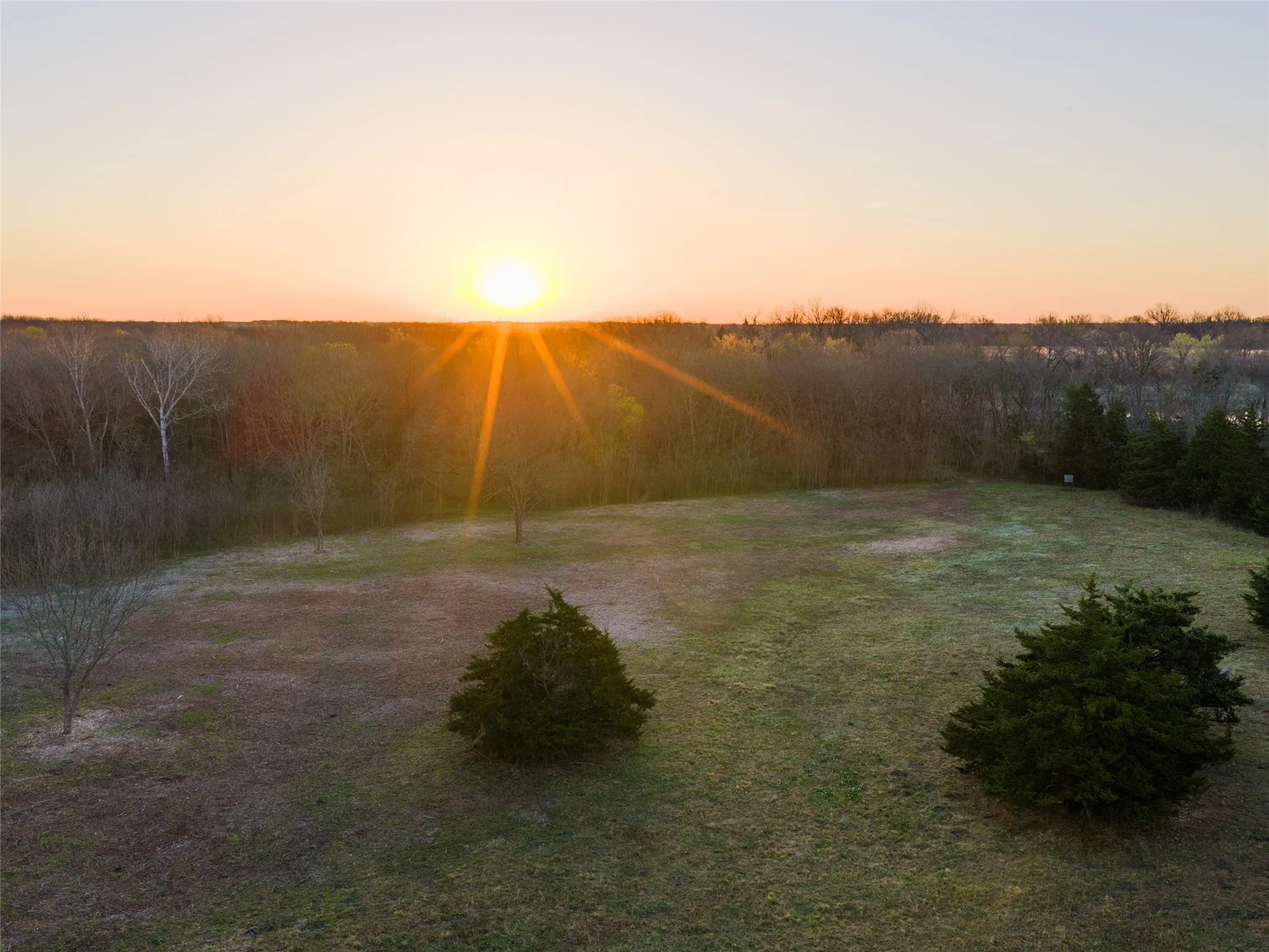 Unimproved Land For Sale in Fannin County , TBD County Road 3550, Honey Grove, Texas 75446, 0, 0, Garage spaces, 0 Sqft, built in 0, mls#21382685, Real Estate Agent in Honey Grove, Homes For Sale in Fannin county, Homes For Sale in Honey Grove, Realtor in Honey Grove Texas, Real Estate Brokerage Independent Realty Texas, Luminita Cordes Realtor