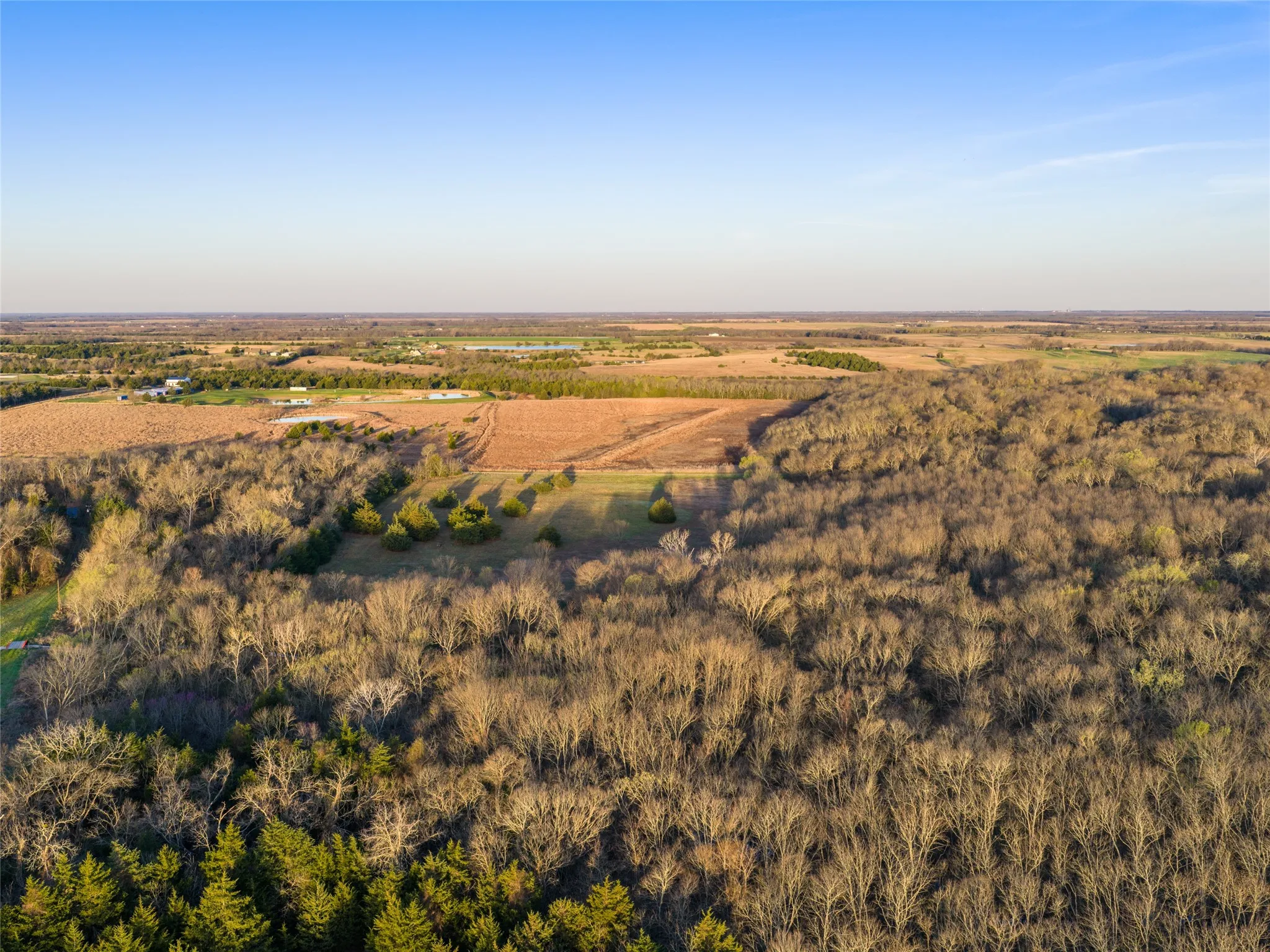 Unimproved Land For Sale in Fannin County , TBD County Road 3550, Honey Grove, Texas 75446, 0, 0, Garage spaces, 0 Sqft, built in 0, mls#21382685, Real Estate Agent in Honey Grove, Homes For Sale in Fannin county, Homes For Sale in Honey Grove, Realtor in Honey Grove Texas, Real Estate Brokerage Independent Realty Texas, Luminita Cordes Realtor