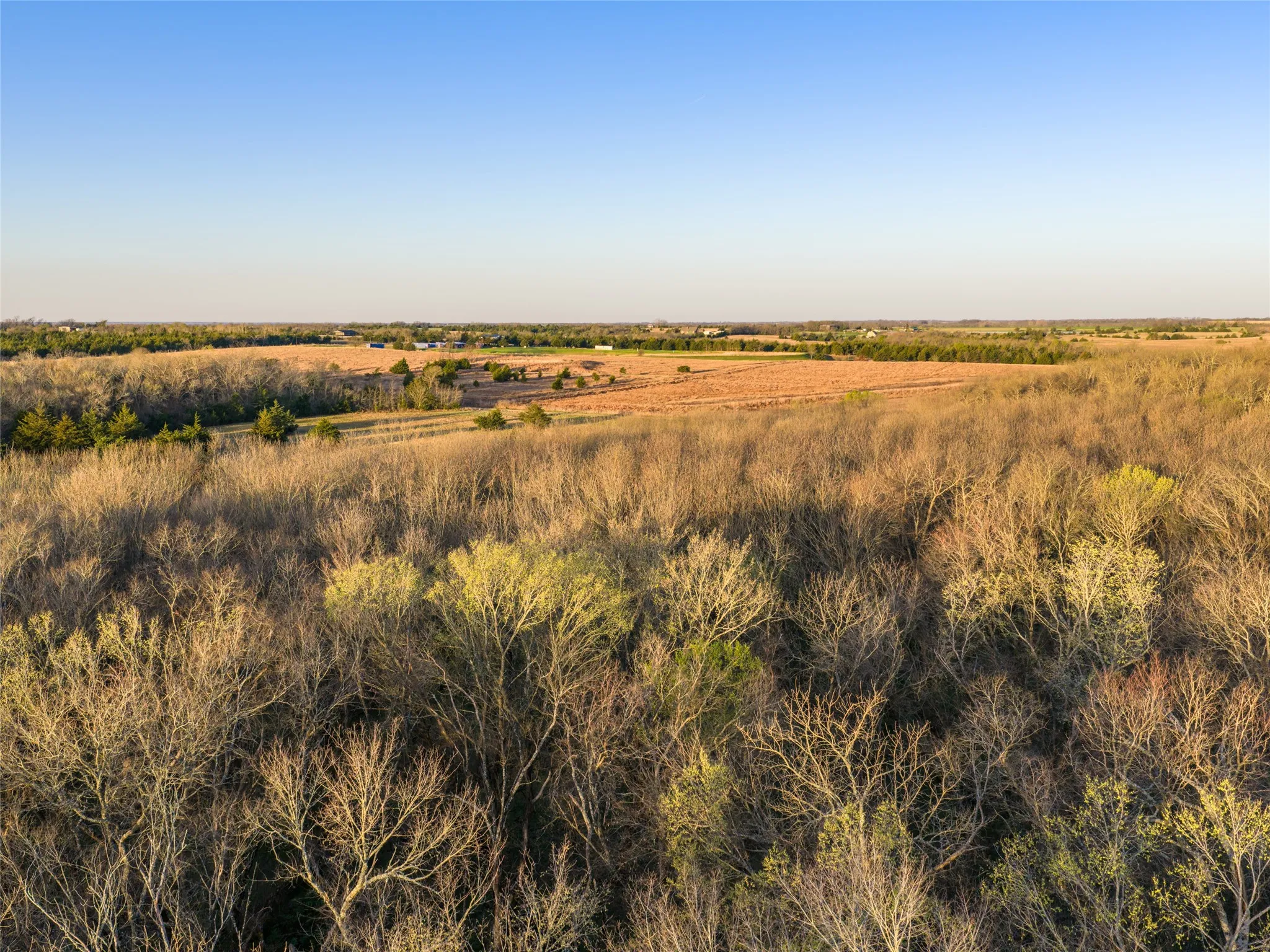 Unimproved Land For Sale in Fannin County , TBD County Road 3550, Honey Grove, Texas 75446, 0, 0, Garage spaces, 0 Sqft, built in 0, mls#21382685, Real Estate Agent in Honey Grove, Homes For Sale in Fannin county, Homes For Sale in Honey Grove, Realtor in Honey Grove Texas, Real Estate Brokerage Independent Realty Texas, Luminita Cordes Realtor