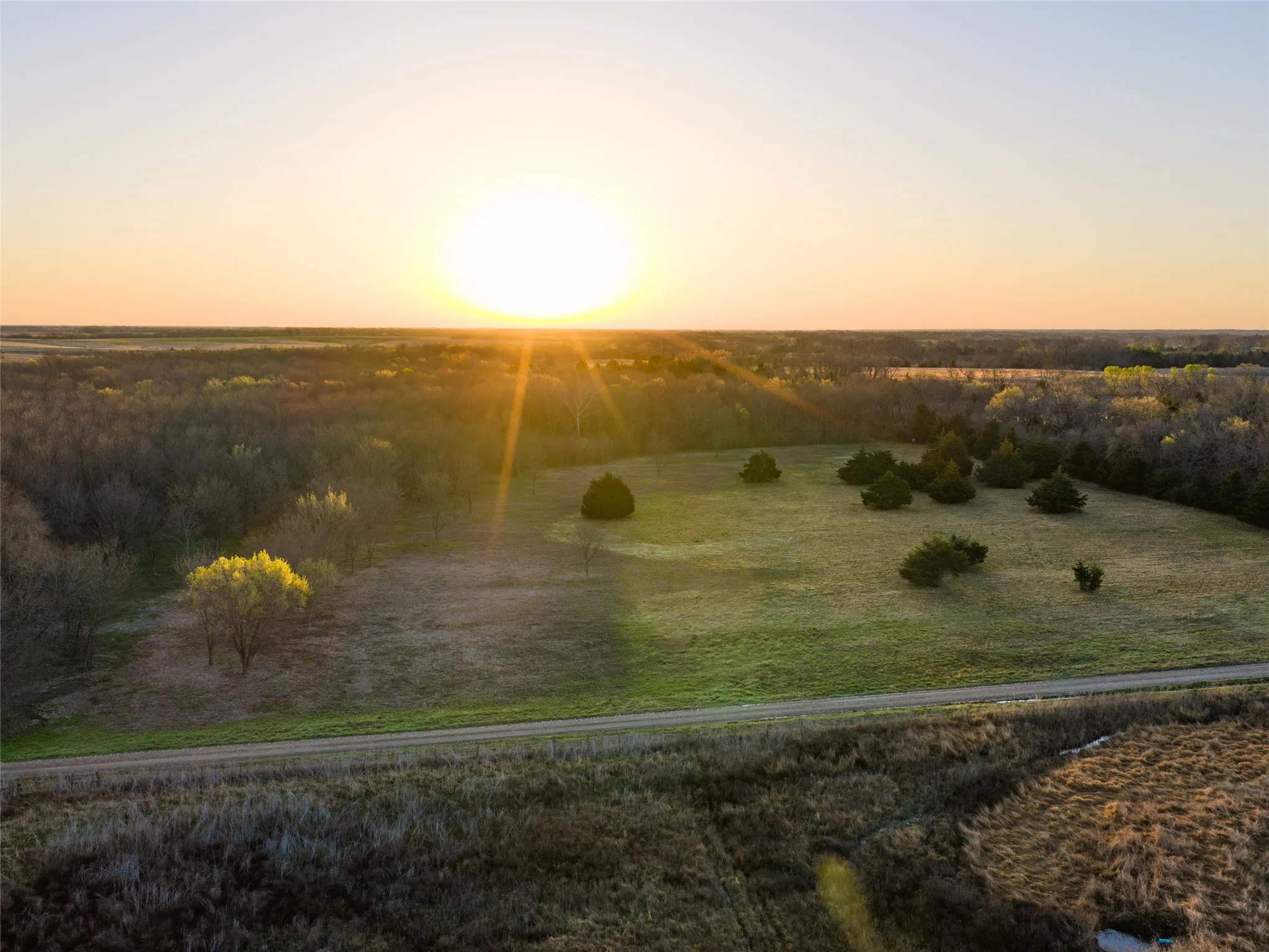 Unimproved Land For Sale in Fannin County , TBD County Road 3550, Honey Grove, Texas 75446, 0, 0, Garage spaces, 0 Sqft, built in 0, mls#21382685, Real Estate Agent in Honey Grove, Homes For Sale in Fannin county, Homes For Sale in Honey Grove, Realtor in Honey Grove Texas, Real Estate Brokerage Independent Realty Texas, Luminita Cordes Realtor