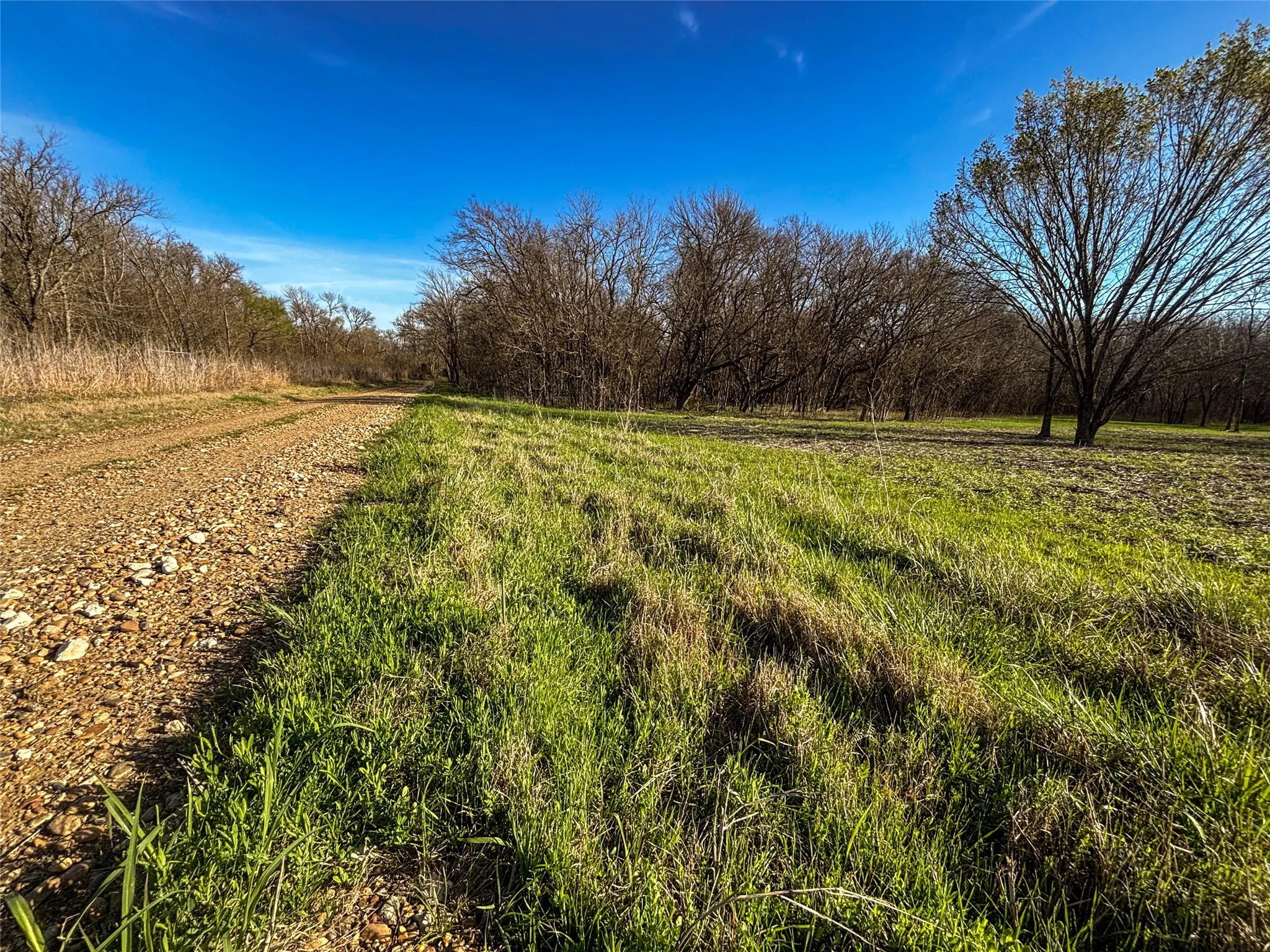 Unimproved Land For Sale in Fannin County , TBD County Road 3550, Honey Grove, Texas 75446, 0, 0, Garage spaces, 0 Sqft, built in 0, mls#21382685, Real Estate Agent in Honey Grove, Homes For Sale in Fannin county, Homes For Sale in Honey Grove, Realtor in Honey Grove Texas, Real Estate Brokerage Independent Realty Texas, Luminita Cordes Realtor