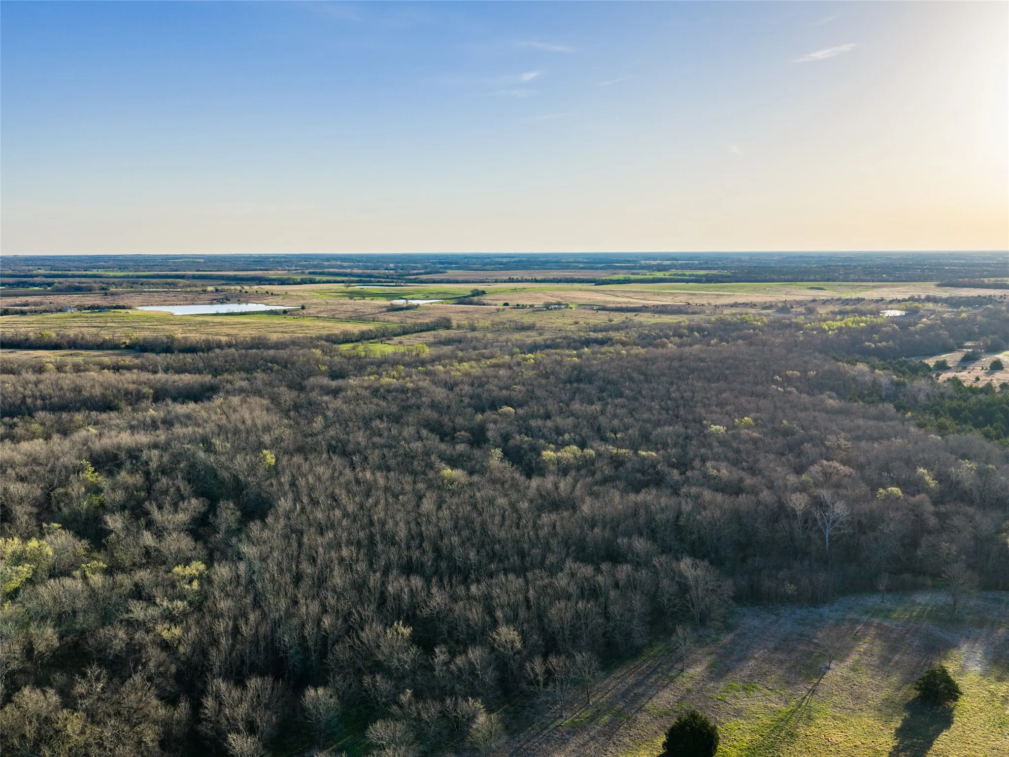Unimproved Land For Sale in Fannin County , TBD County Road 3550, Honey Grove, Texas 75446, 0, 0, Garage spaces, 0 Sqft, built in 0, mls#21382685, Real Estate Agent in Honey Grove, Homes For Sale in Fannin county, Homes For Sale in Honey Grove, Realtor in Honey Grove Texas, Real Estate Brokerage Independent Realty Texas, Luminita Cordes Realtor