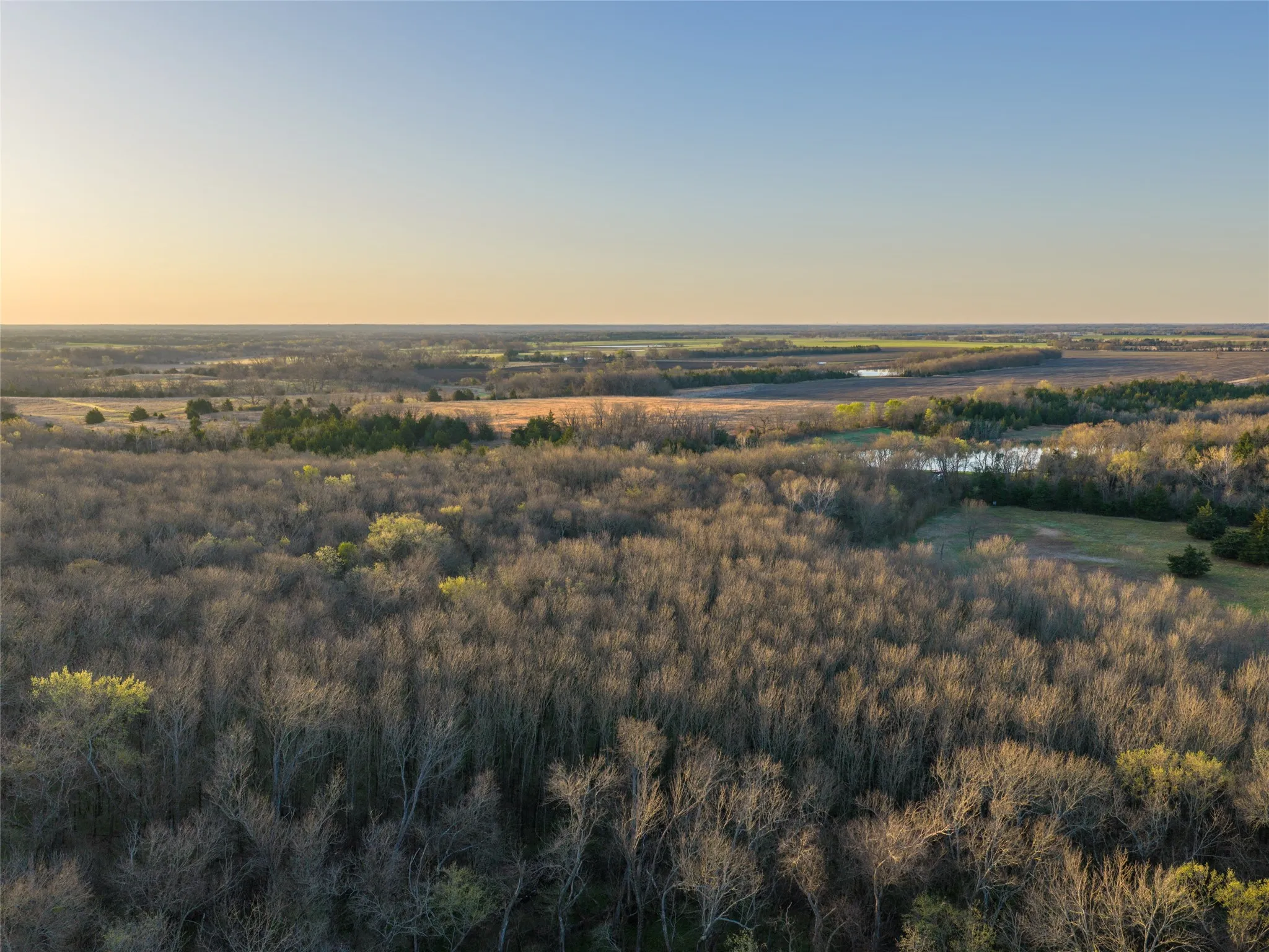 Unimproved Land For Sale in Fannin County , TBD County Road 3550, Honey Grove, Texas 75446, 0, 0, Garage spaces, 0 Sqft, built in 0, mls#21382685, Real Estate Agent in Honey Grove, Homes For Sale in Fannin county, Homes For Sale in Honey Grove, Realtor in Honey Grove Texas, Real Estate Brokerage Independent Realty Texas, Luminita Cordes Realtor