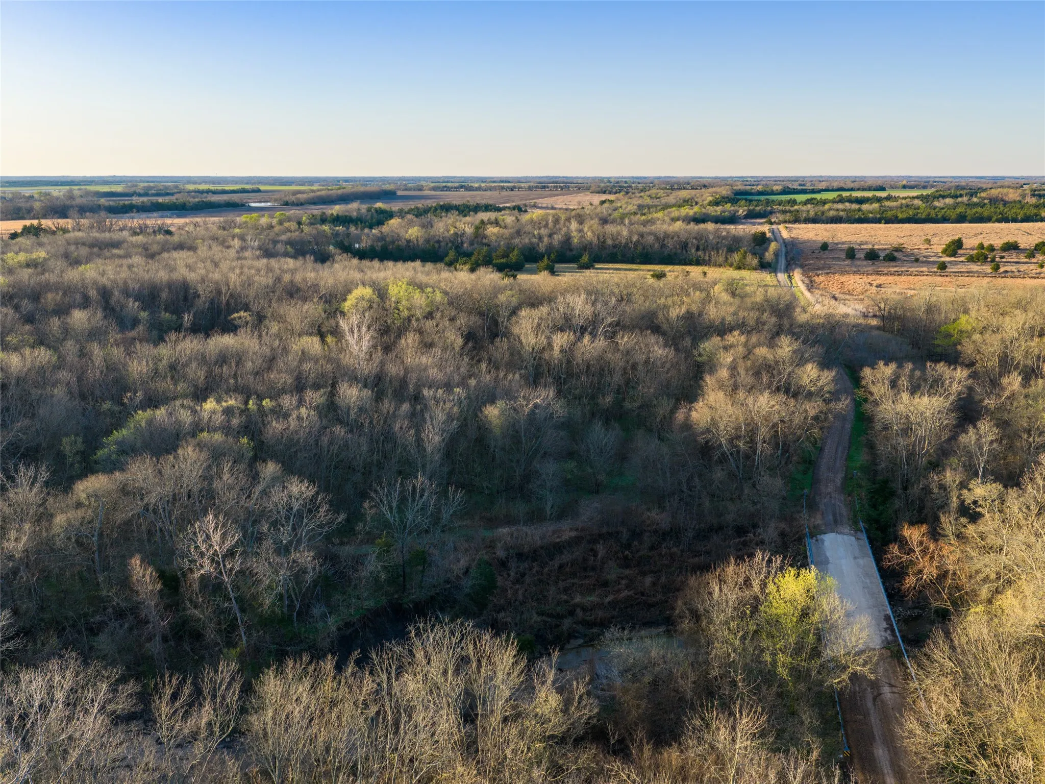 Unimproved Land For Sale in Fannin County , TBD County Road 3550, Honey Grove, Texas 75446, 0, 0, Garage spaces, 0 Sqft, built in 0, mls#21382685, Real Estate Agent in Honey Grove, Homes For Sale in Fannin county, Homes For Sale in Honey Grove, Realtor in Honey Grove Texas, Real Estate Brokerage Independent Realty Texas, Luminita Cordes Realtor