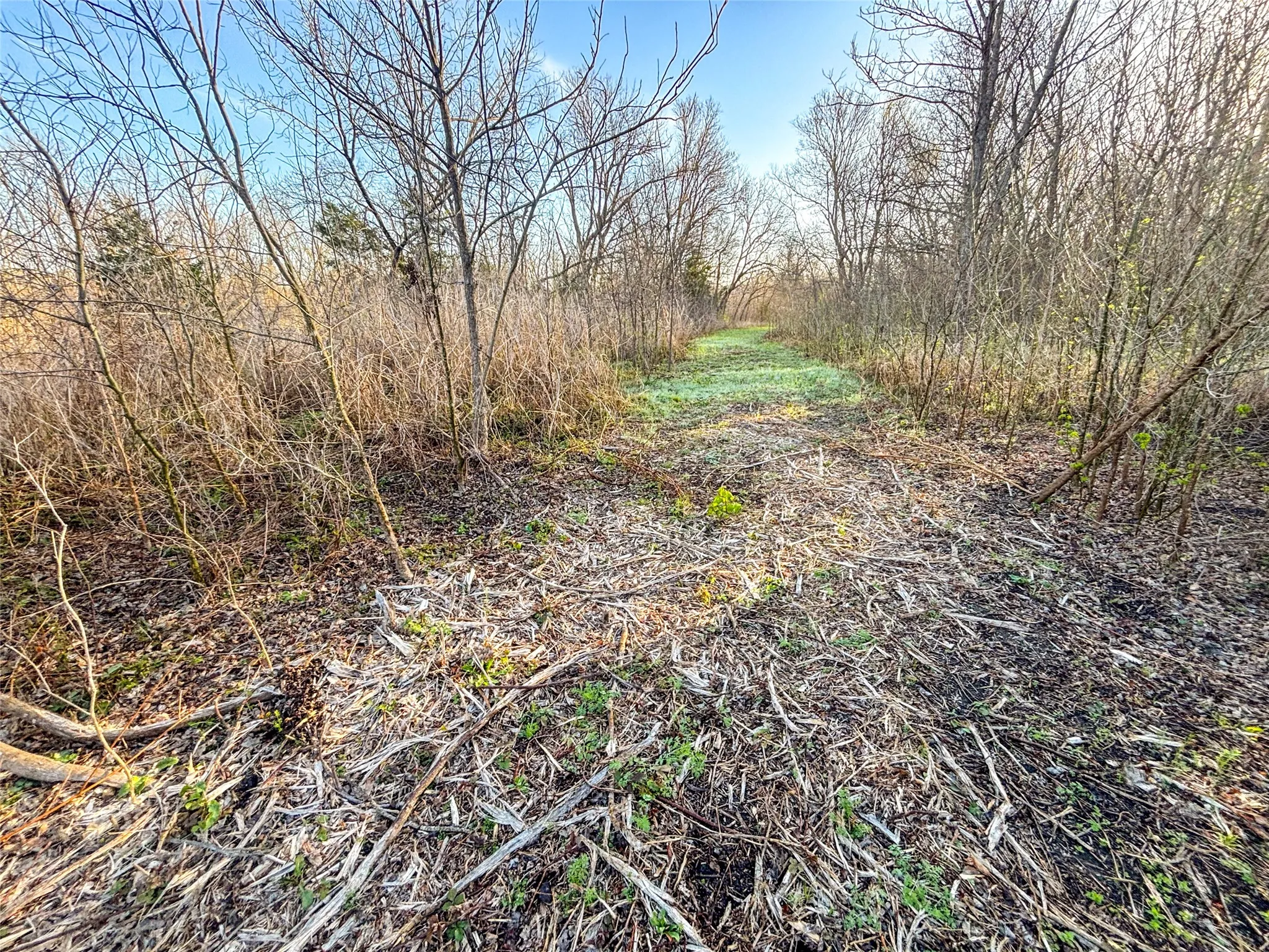 Unimproved Land For Sale in Fannin County , TBD County Road 3550, Honey Grove, Texas 75446, 0, 0, Garage spaces, 0 Sqft, built in 0, mls#21382685, Real Estate Agent in Honey Grove, Homes For Sale in Fannin county, Homes For Sale in Honey Grove, Realtor in Honey Grove Texas, Real Estate Brokerage Independent Realty Texas, Luminita Cordes Realtor