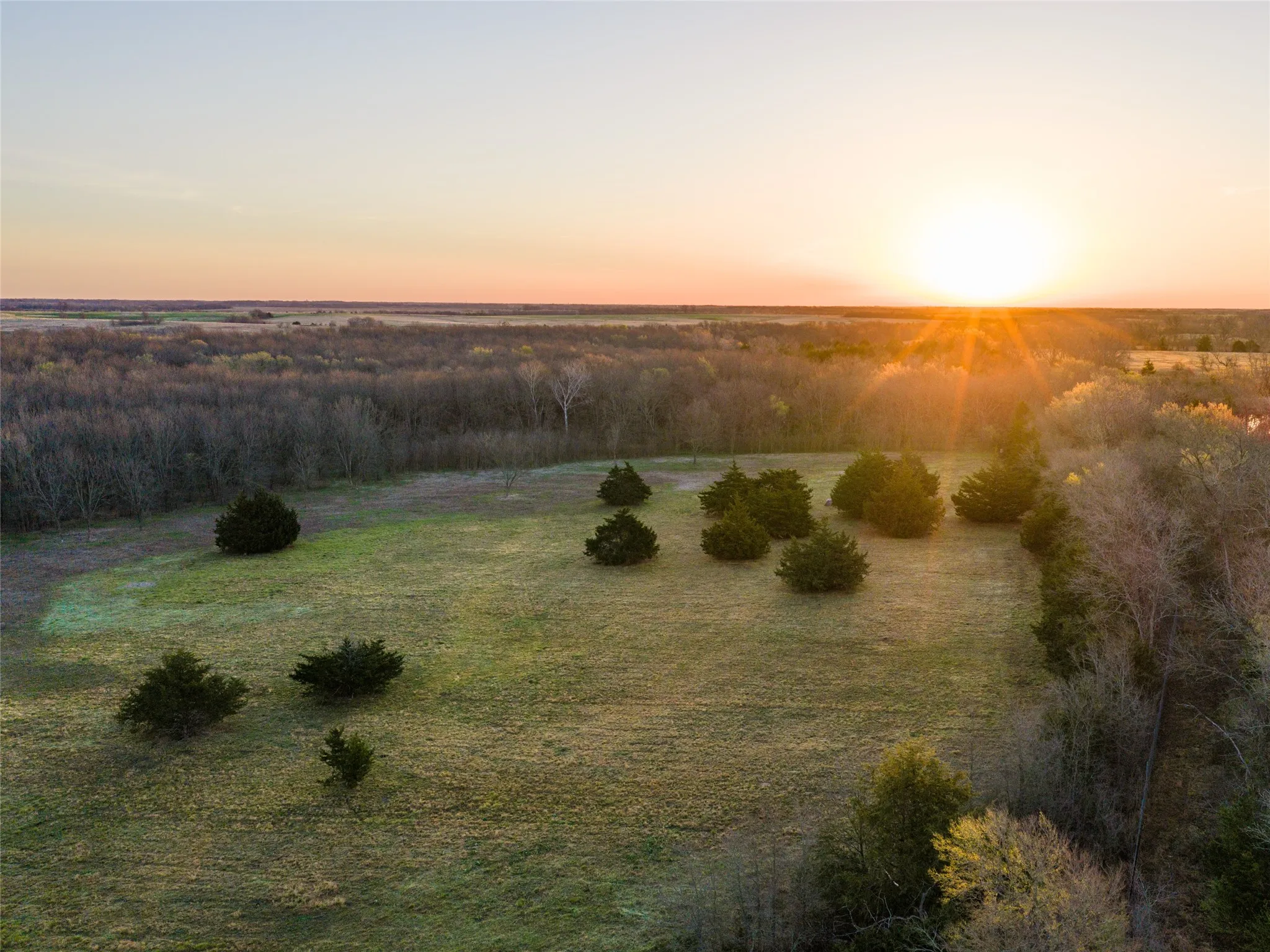 Unimproved Land For Sale in Fannin County , TBD County Road 3550, Honey Grove, Texas 75446, 0, 0, Garage spaces, 0 Sqft, built in 0, mls#21382685, Real Estate Agent in Honey Grove, Homes For Sale in Fannin county, Homes For Sale in Honey Grove, Realtor in Honey Grove Texas, Real Estate Brokerage Independent Realty Texas, Luminita Cordes Realtor