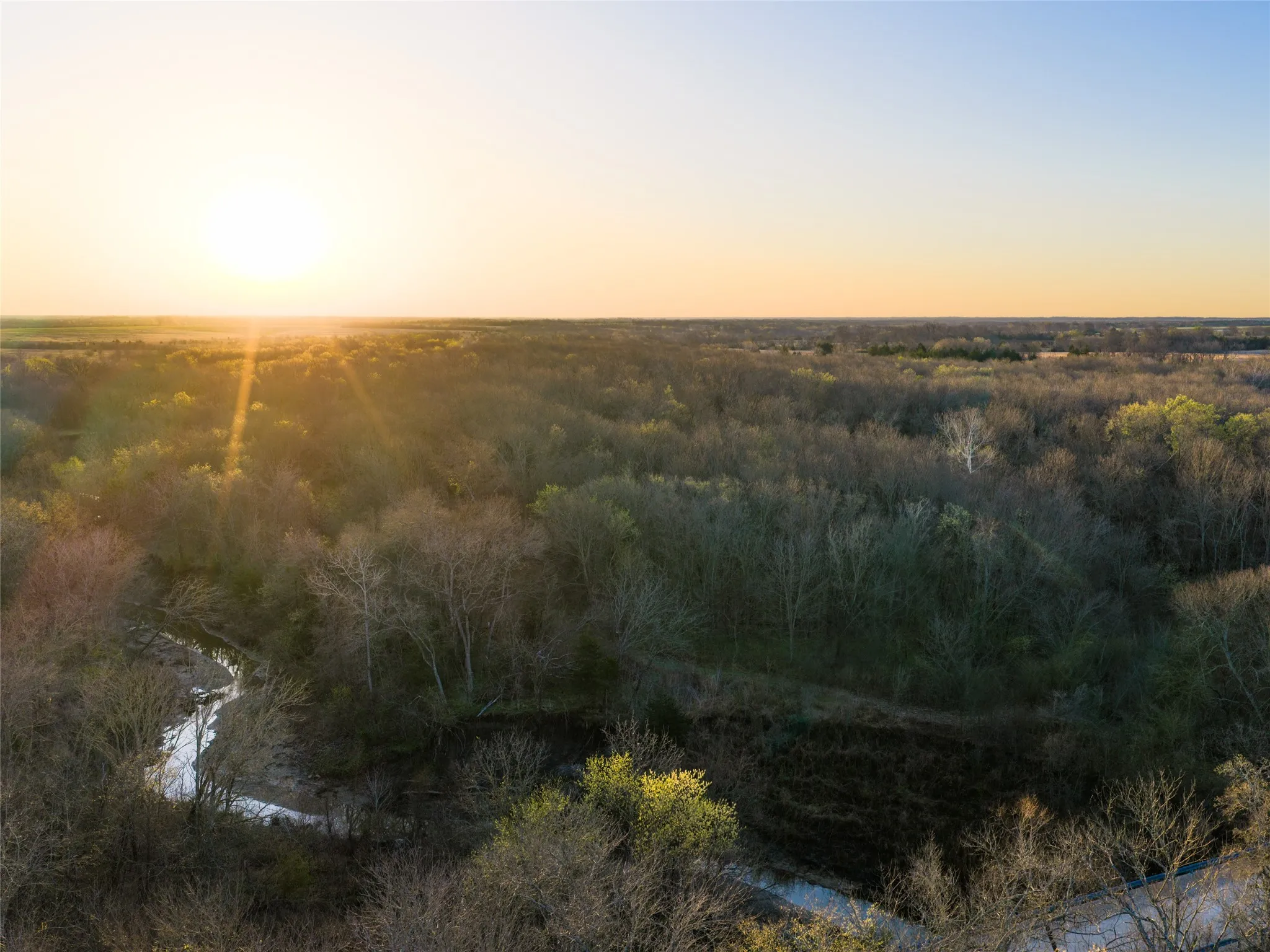 Unimproved Land For Sale in Fannin County , TBD County Road 3550, Honey Grove, Texas 75446, 0, 0, Garage spaces, 0 Sqft, built in 0, mls#21382685, Real Estate Agent in Honey Grove, Homes For Sale in Fannin county, Homes For Sale in Honey Grove, Realtor in Honey Grove Texas, Real Estate Brokerage Independent Realty Texas, Luminita Cordes Realtor