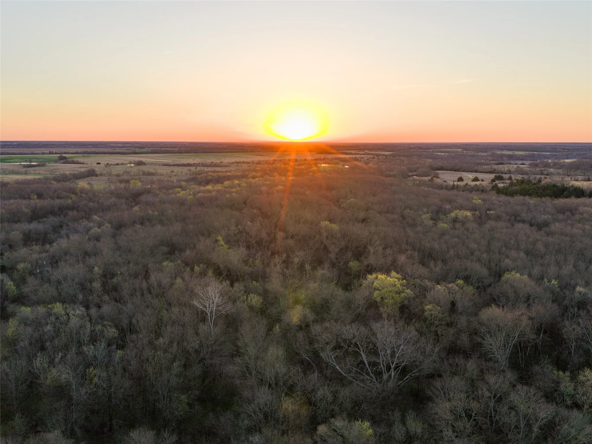 Unimproved Land For Sale in Fannin County , TBD County Road 3550, Honey Grove, Texas 75446, 0, 0, Garage spaces, 0 Sqft, built in 0, mls#21382685, Real Estate Agent in Honey Grove, Homes For Sale in Fannin county, Homes For Sale in Honey Grove, Realtor in Honey Grove Texas, Real Estate Brokerage Independent Realty Texas, Luminita Cordes Realtor