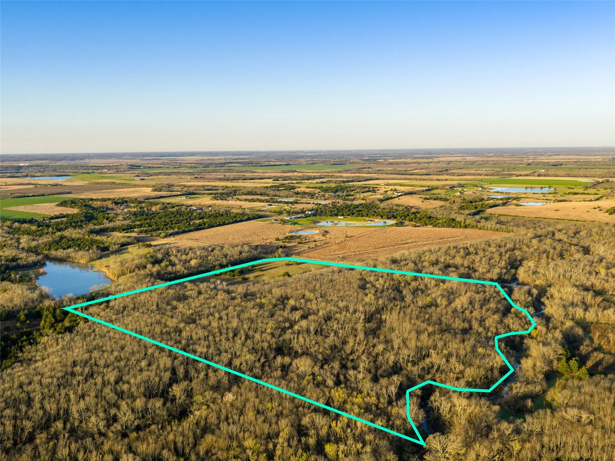 Unimproved Land For Sale in Fannin County , TBD County Road 3550, Honey Grove, Texas 75446, 0, 0, Garage spaces, 0 Sqft, built in 0, mls#21382685, Real Estate Agent in Honey Grove, Homes For Sale in Fannin county, Homes For Sale in Honey Grove, Realtor in Honey Grove Texas, Real Estate Brokerage Independent Realty Texas, Luminita Cordes Realtor