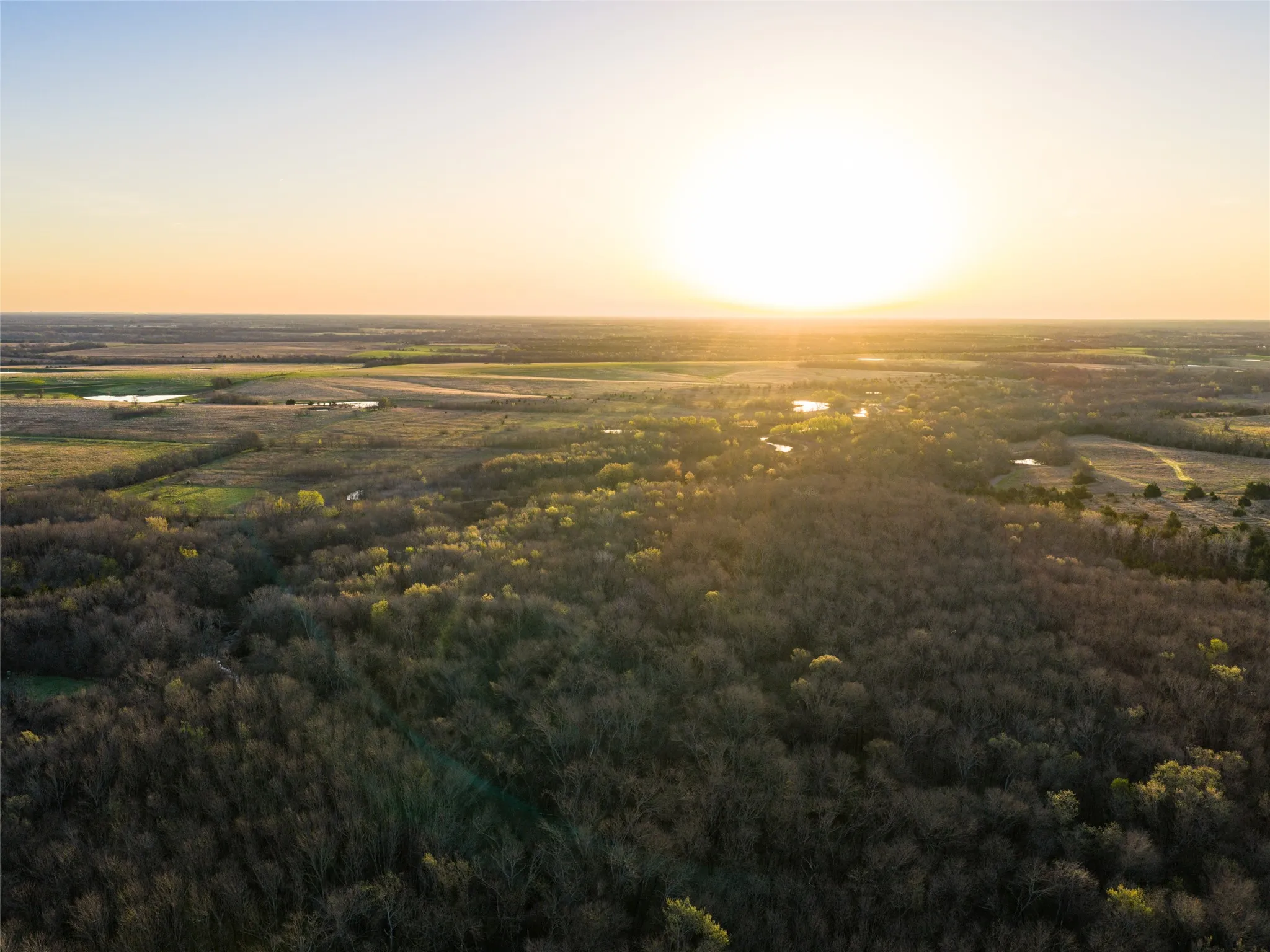 Unimproved Land For Sale in Fannin County , TBD County Road 3550, Honey Grove, Texas 75446, 0, 0, Garage spaces, 0 Sqft, built in 0, mls#21382685, Real Estate Agent in Honey Grove, Homes For Sale in Fannin county, Homes For Sale in Honey Grove, Realtor in Honey Grove Texas, Real Estate Brokerage Independent Realty Texas, Luminita Cordes Realtor
