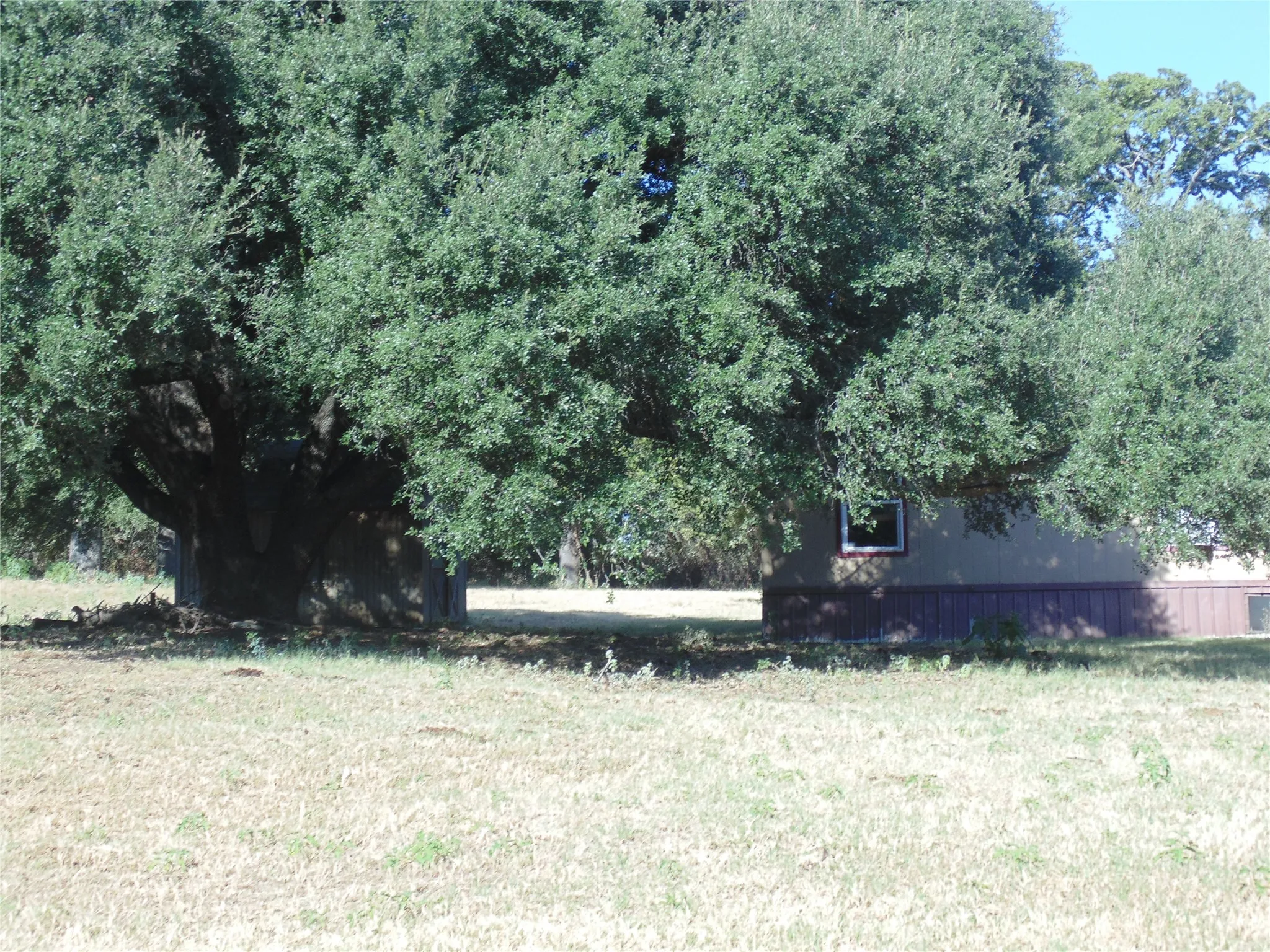 Ranch For Sale in Comanche County , 699 County Road 260, Gustine, Texas 76455, 0, 0, Garage spaces, 0 Sqft, built in 2005, mls#21380867, Real Estate Agent in Gustine, Homes For Sale in Comanche county, Homes For Sale in Gustine, Realtor in Gustine Texas, Real Estate Brokerage Independent Realty Texas, Luminita Cordes Realtor