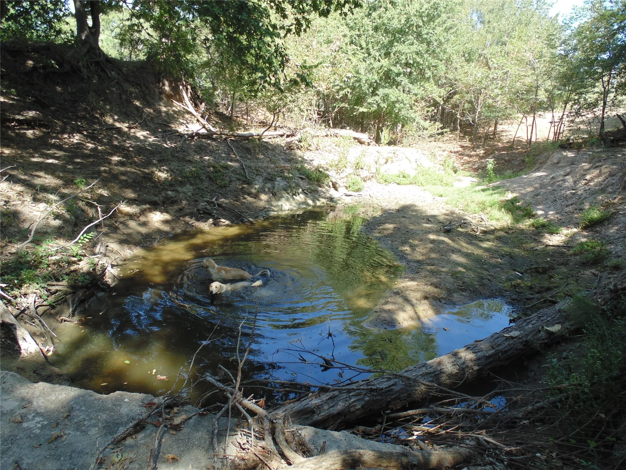 Spring Fed Pond