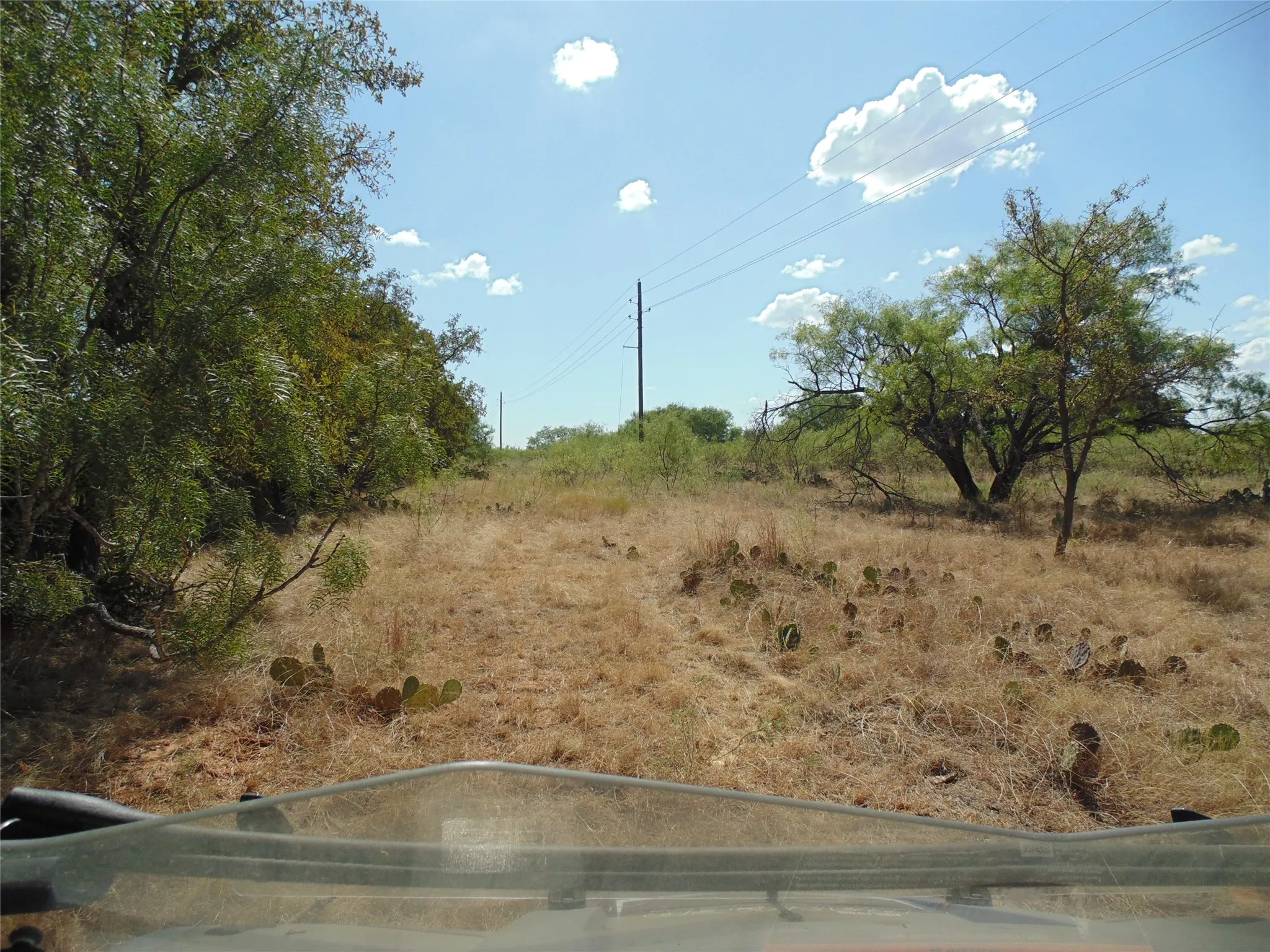 Open Field