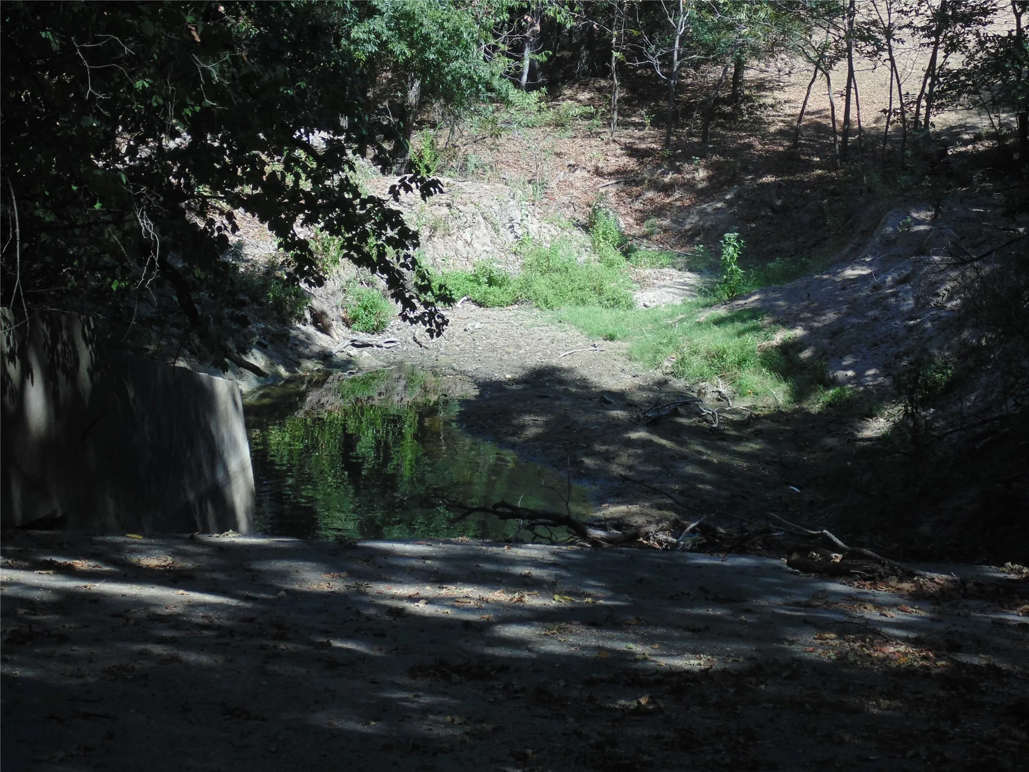 Spring Fed Pond