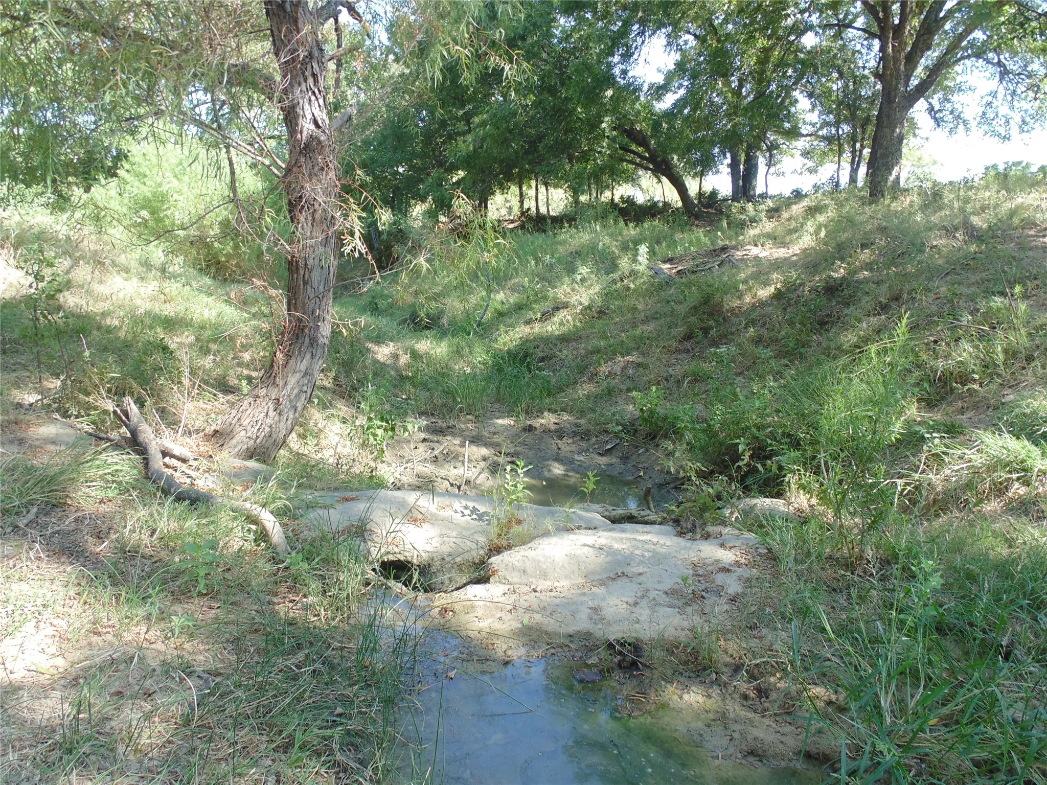 Small creek