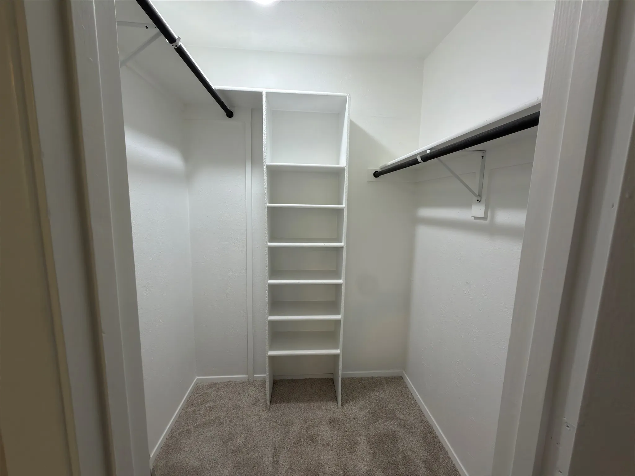 Walk-in closet with carpet flooring, built-in shelving, and dual hanging rods