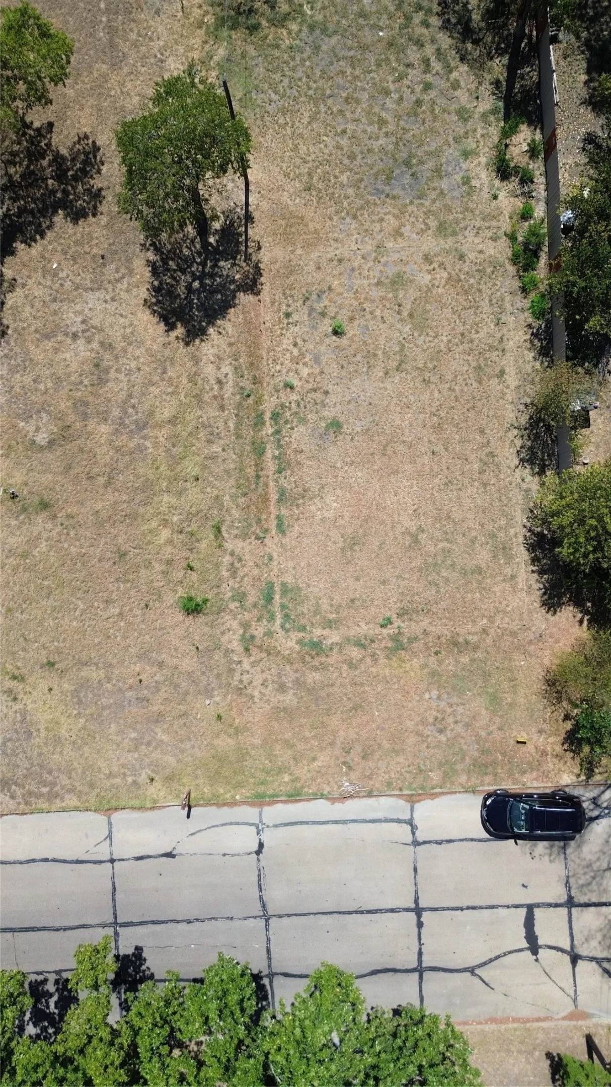 Improved Land For Sale in Ellis County , 803 E Martin Luther King Drive, Ennis, Texas 75119, 0, 0, Garage spaces, 0 Sqft, built in 0, mls#21382713, Real Estate Agent in Ennis, Homes For Sale in Ellis county, Homes For Sale in Ennis, Realtor in Ennis Texas, Real Estate Brokerage Independent Realty Texas, Luminita Cordes Realtor