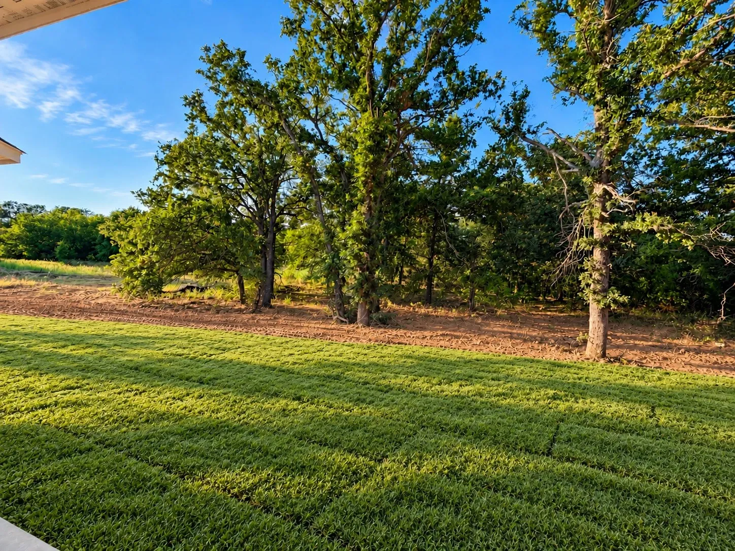 Manicured lawn with mature trees and natural landscaping