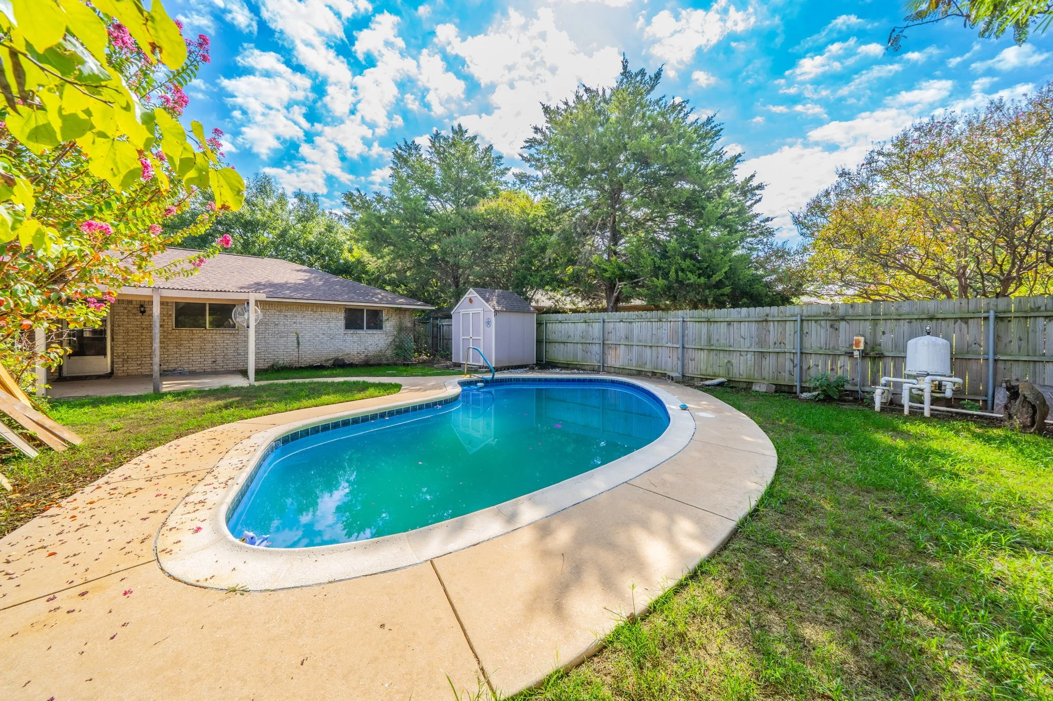 Backyard featuring a curved inground swimming pool with a concrete surround, a covered patio, and a storage shed