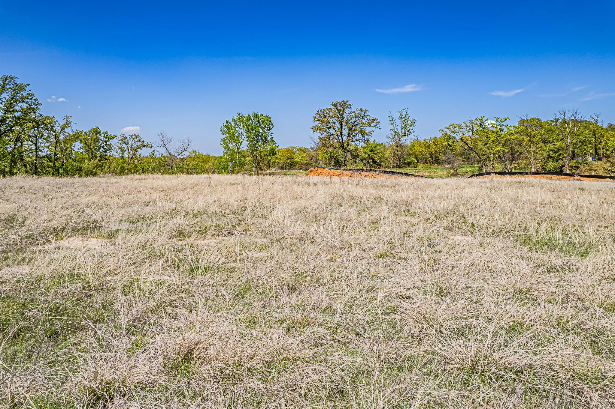 Expansive open field with natural grass, bordered by mature trees and a clear blue sky