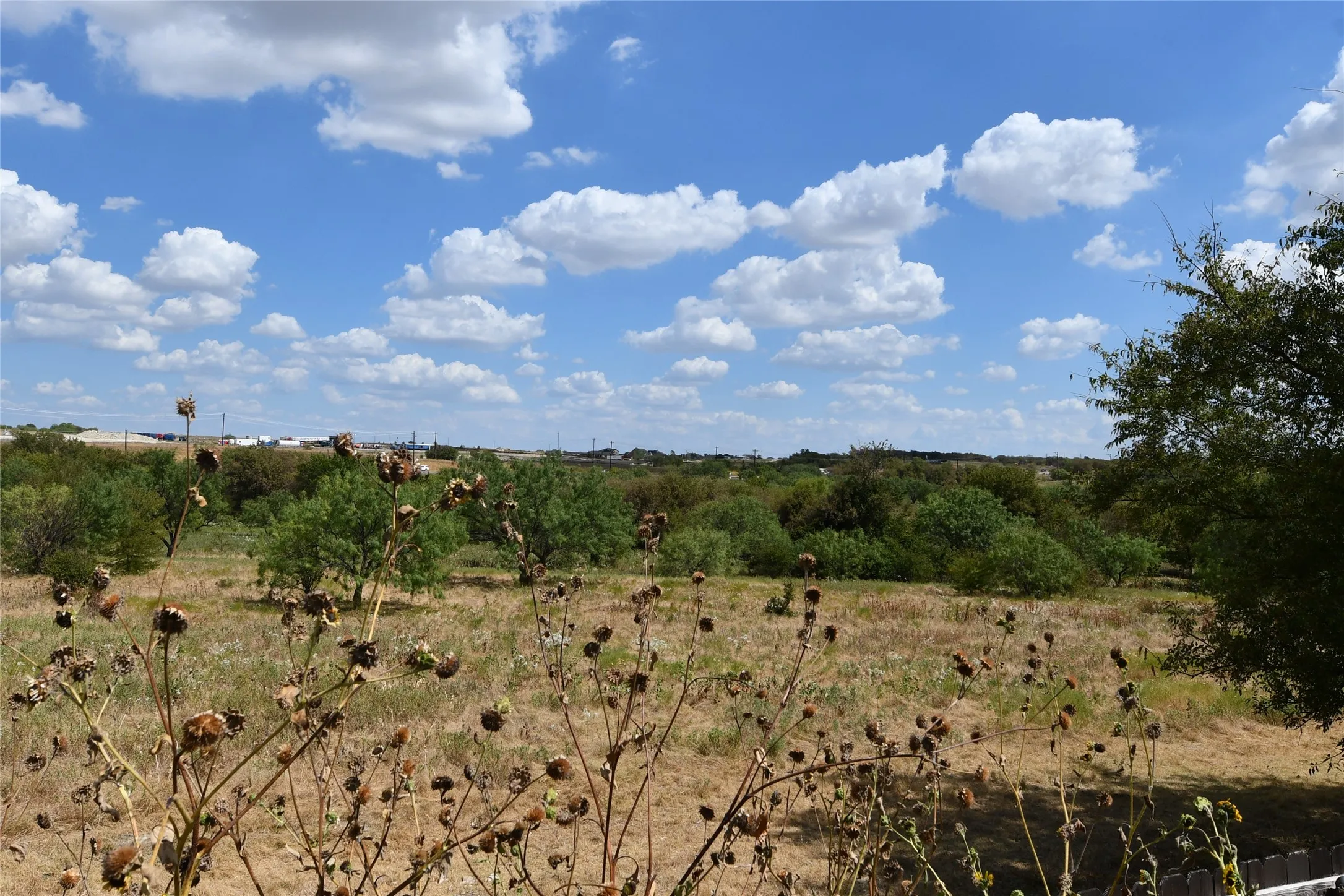 Expansive open land featuring diverse foliage and a distant horizon