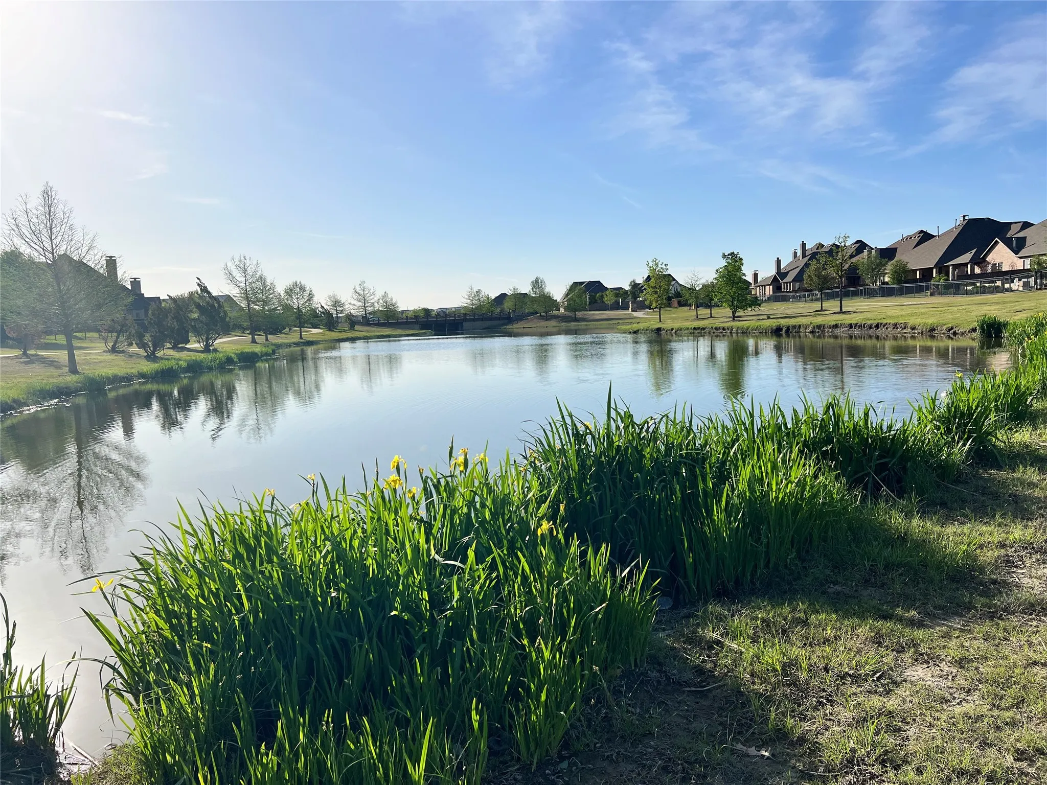 Single Family Residence For Sale in Collin County , 714 Halpin Avenue, Celina, Texas 75009, 4 Bedroom, 3 Bathroom, 2 Garage spaces, 3,006 Sqft, built in 2019, mls#21382776, Real Estate Agent in Celina, Homes For Sale in Collin county, Homes For Sale in Celina, Realtor in Celina Texas, Real Estate Brokerage Independent Realty Texas, Luminita Cordes Realtor