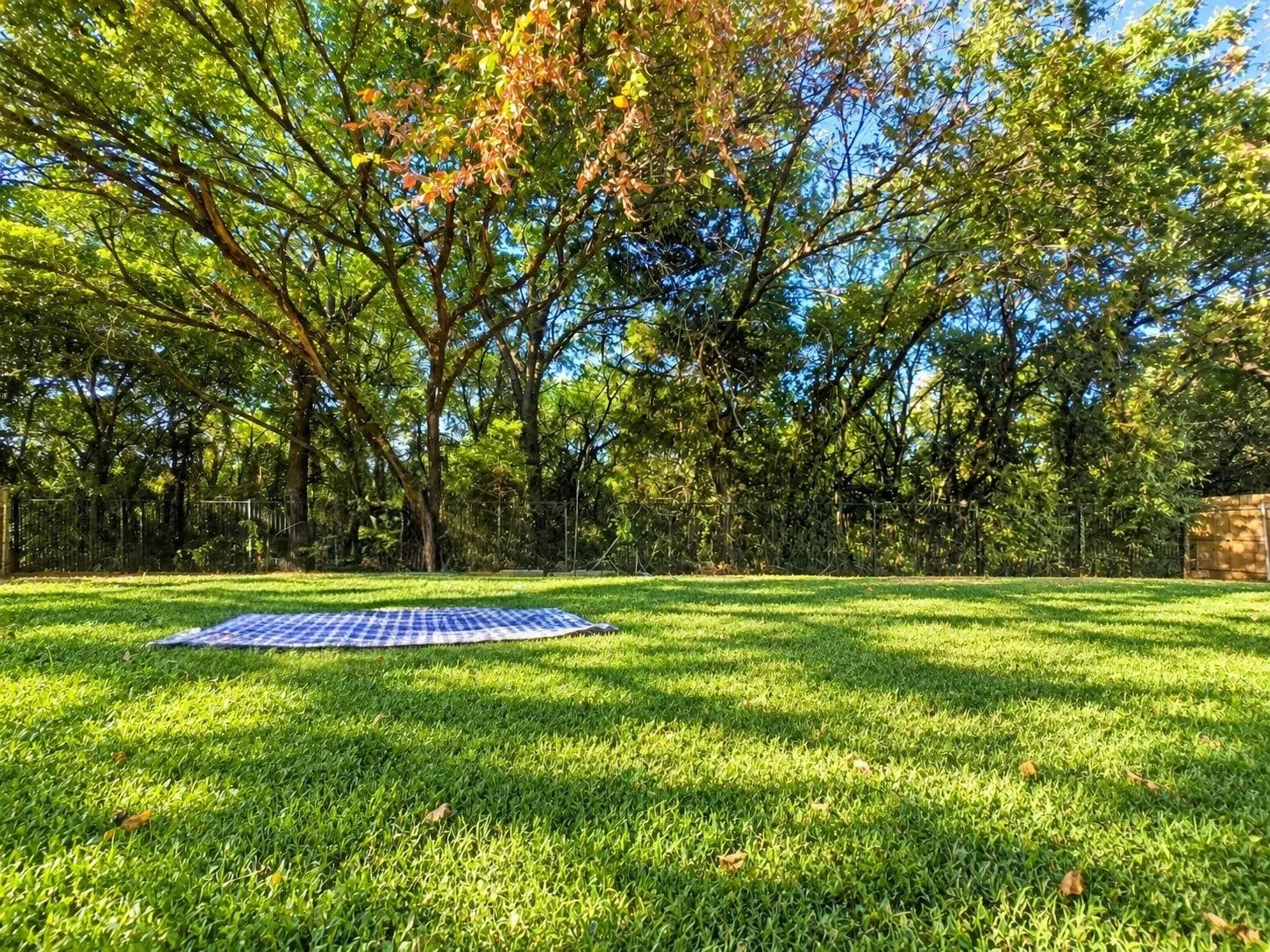 Virtually enhanced green lawn