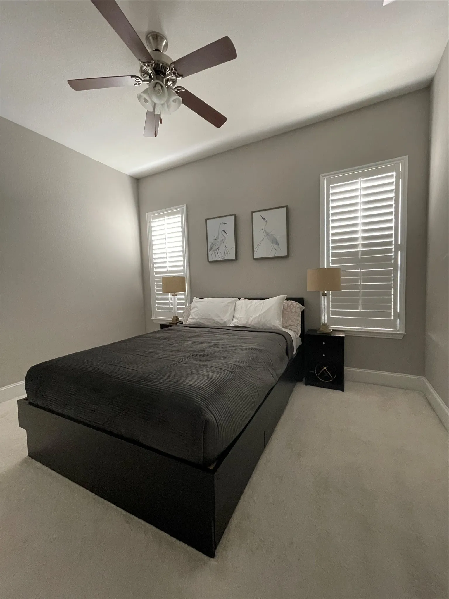 Recessed ceiling with a ceiling fan, dual windows featuring plantation shutters, and carpeted flooring
