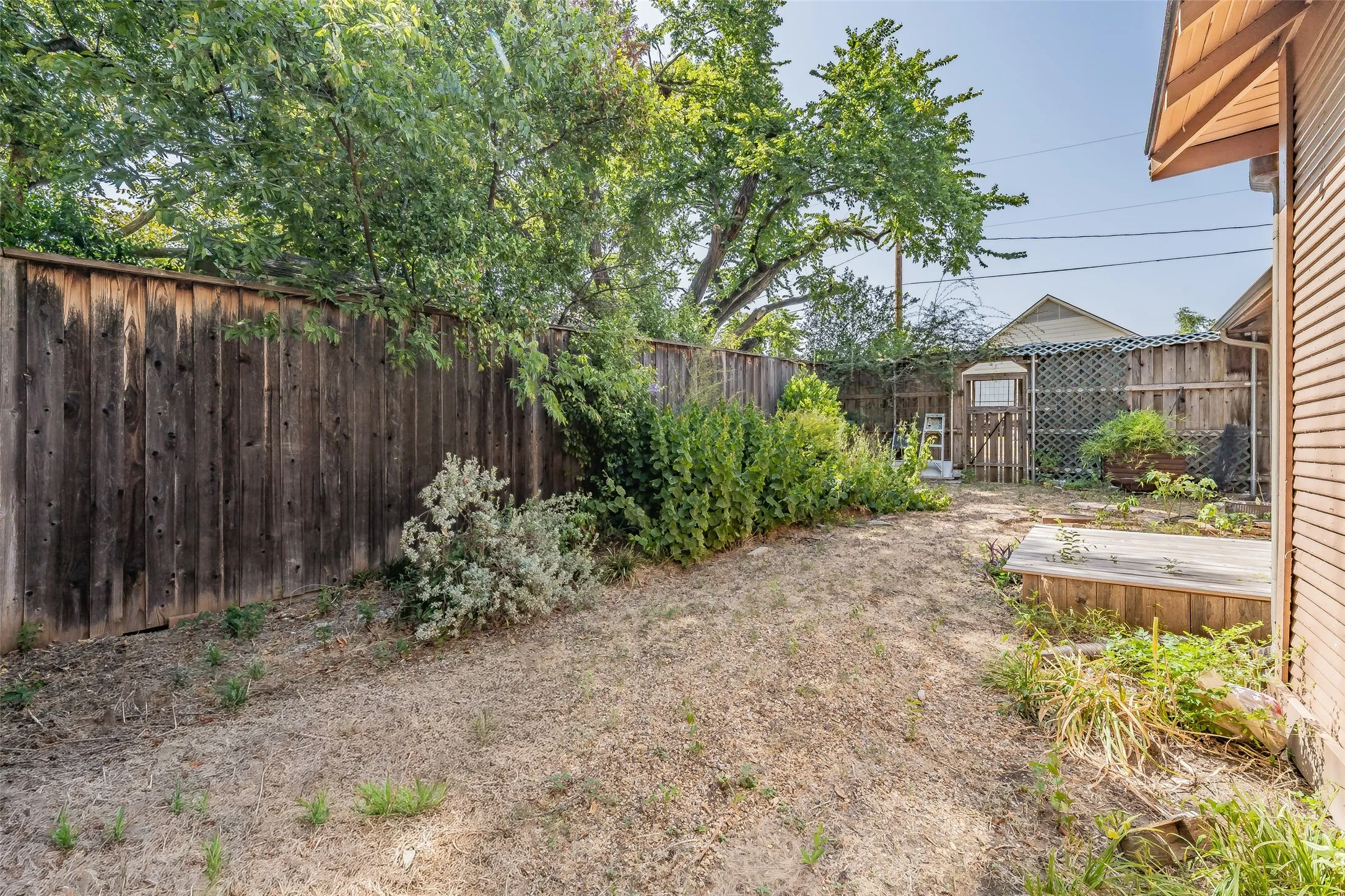 Side of the yard