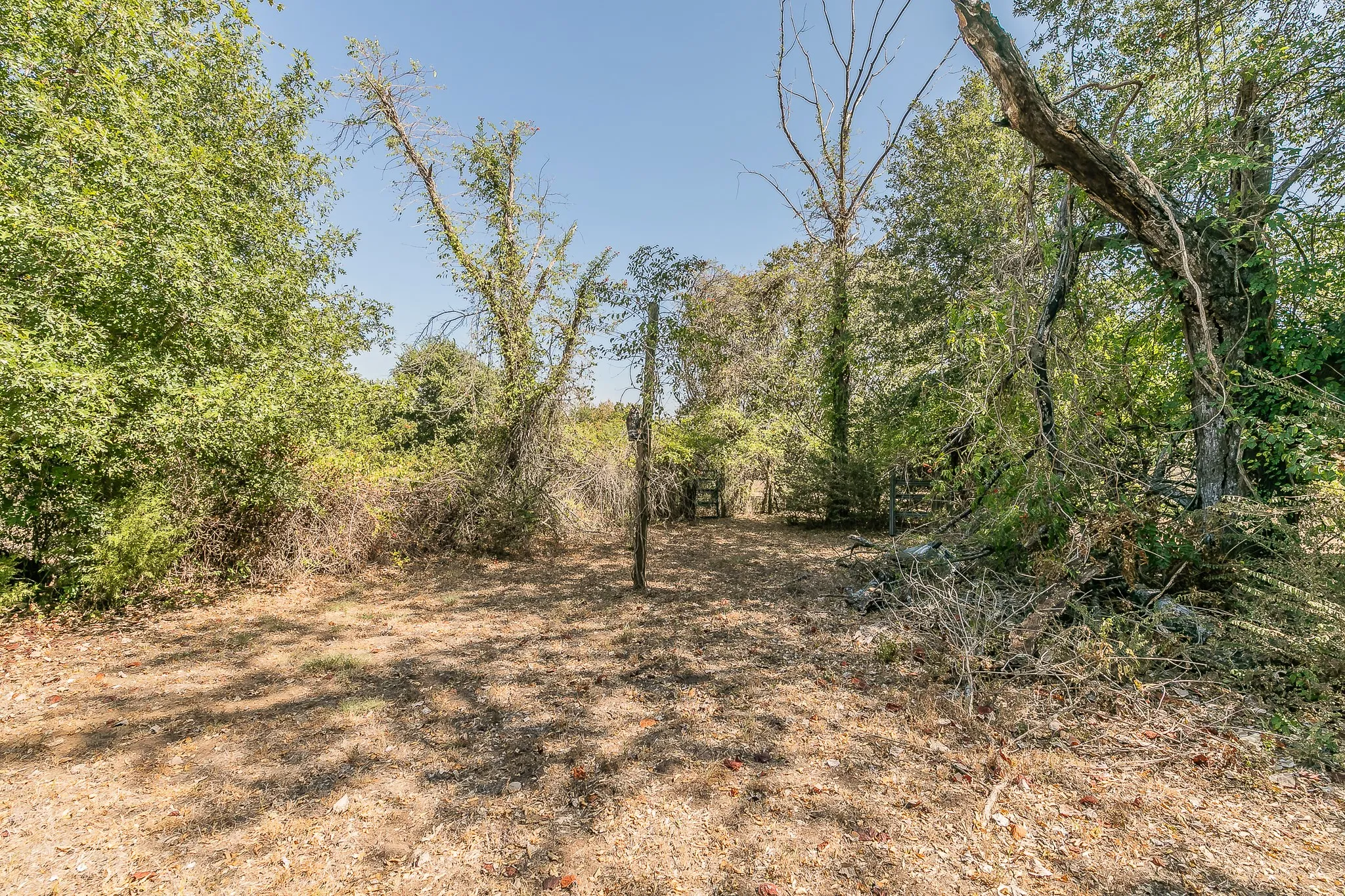 Mobile Home For Sale in Johnson County , 822 Quail Run, Cleburne, Texas 76031, 3 Bedroom, 2 Bathroom, Garage spaces, 1,344 Sqft, built in 1982, mls#21382554, Real Estate Agent in Cleburne, Homes For Sale in Johnson county, Homes For Sale in Cleburne, Realtor in Cleburne Texas, Real Estate Brokerage Independent Realty Texas, Luminita Cordes Realtor