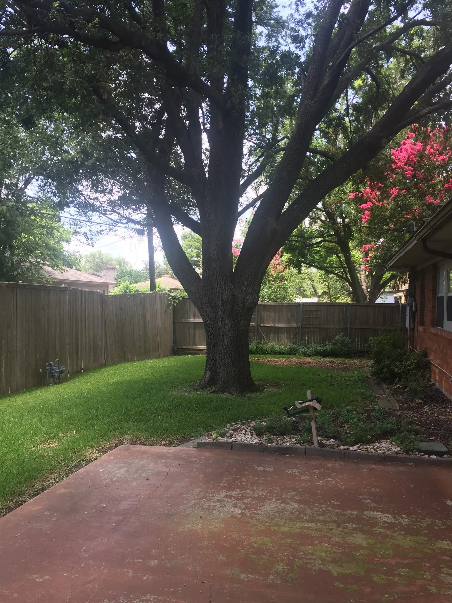Backyard featuring a mature tree, concrete patio, green lawn, and wood privacy fencing