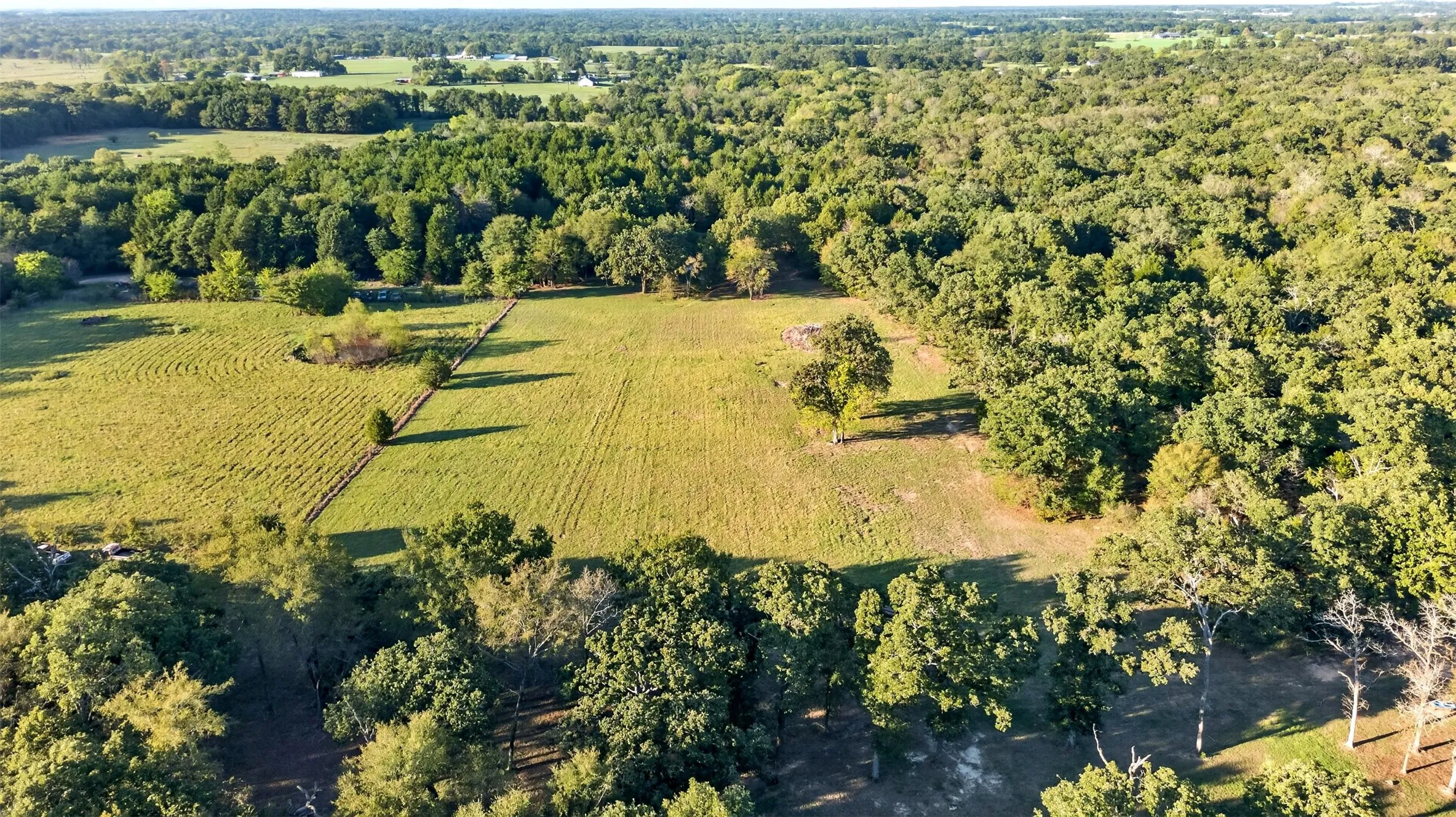 Expansive land parcel featuring open fields, mature tree lines, and distant wooded areas