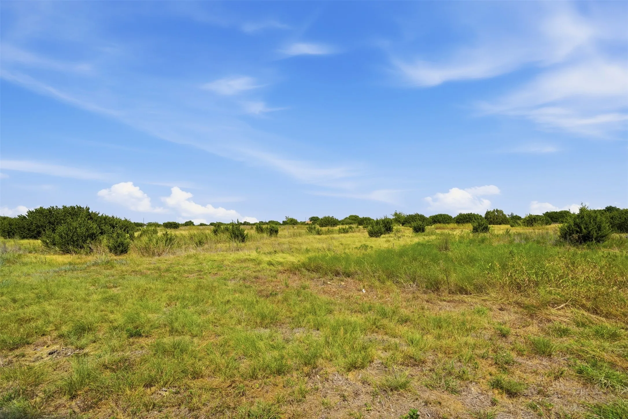 Expansive open land featuring diverse natural grasses and scattered brush