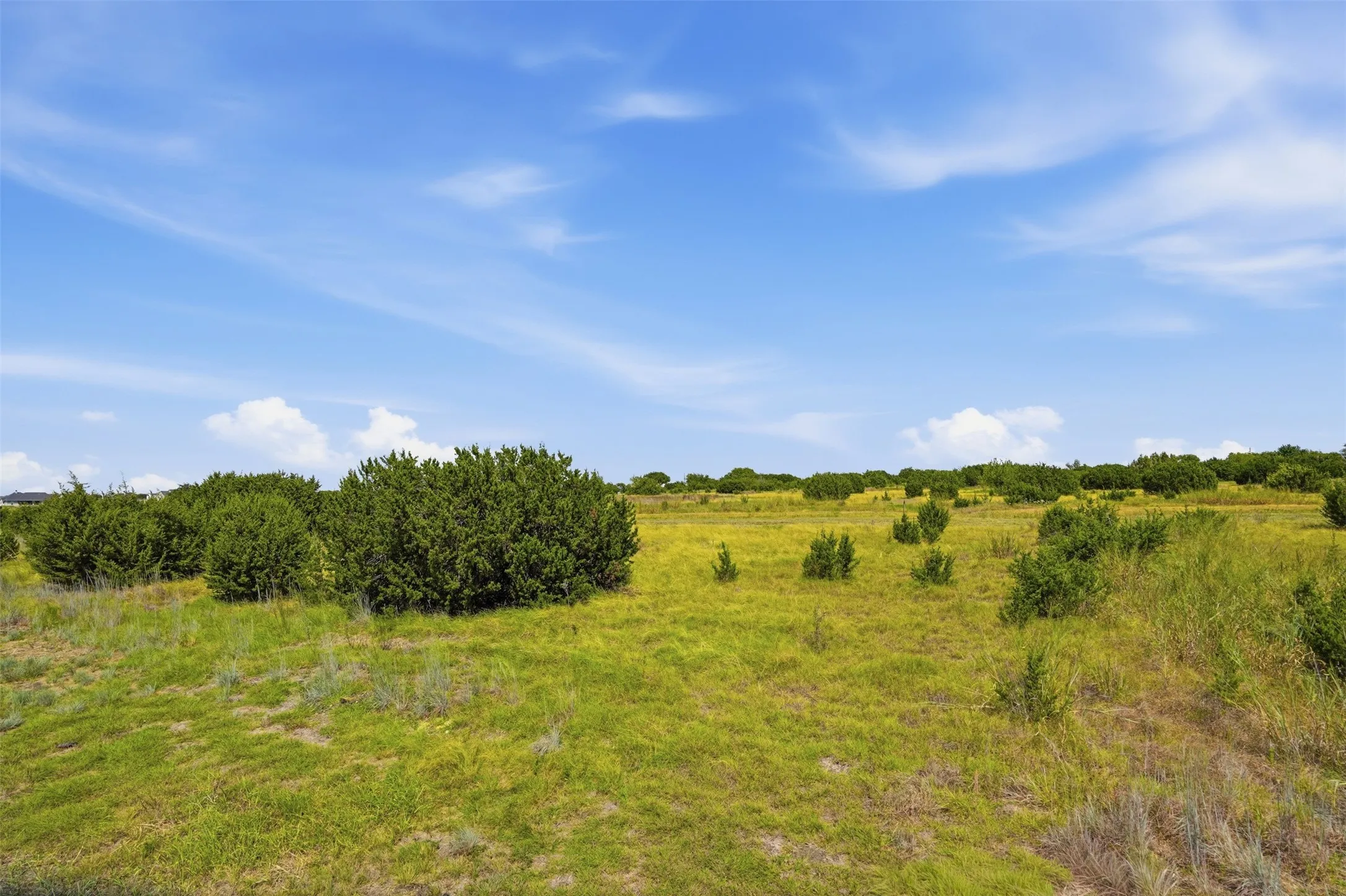 Expansive open land with natural green growth and scattered shrubbery